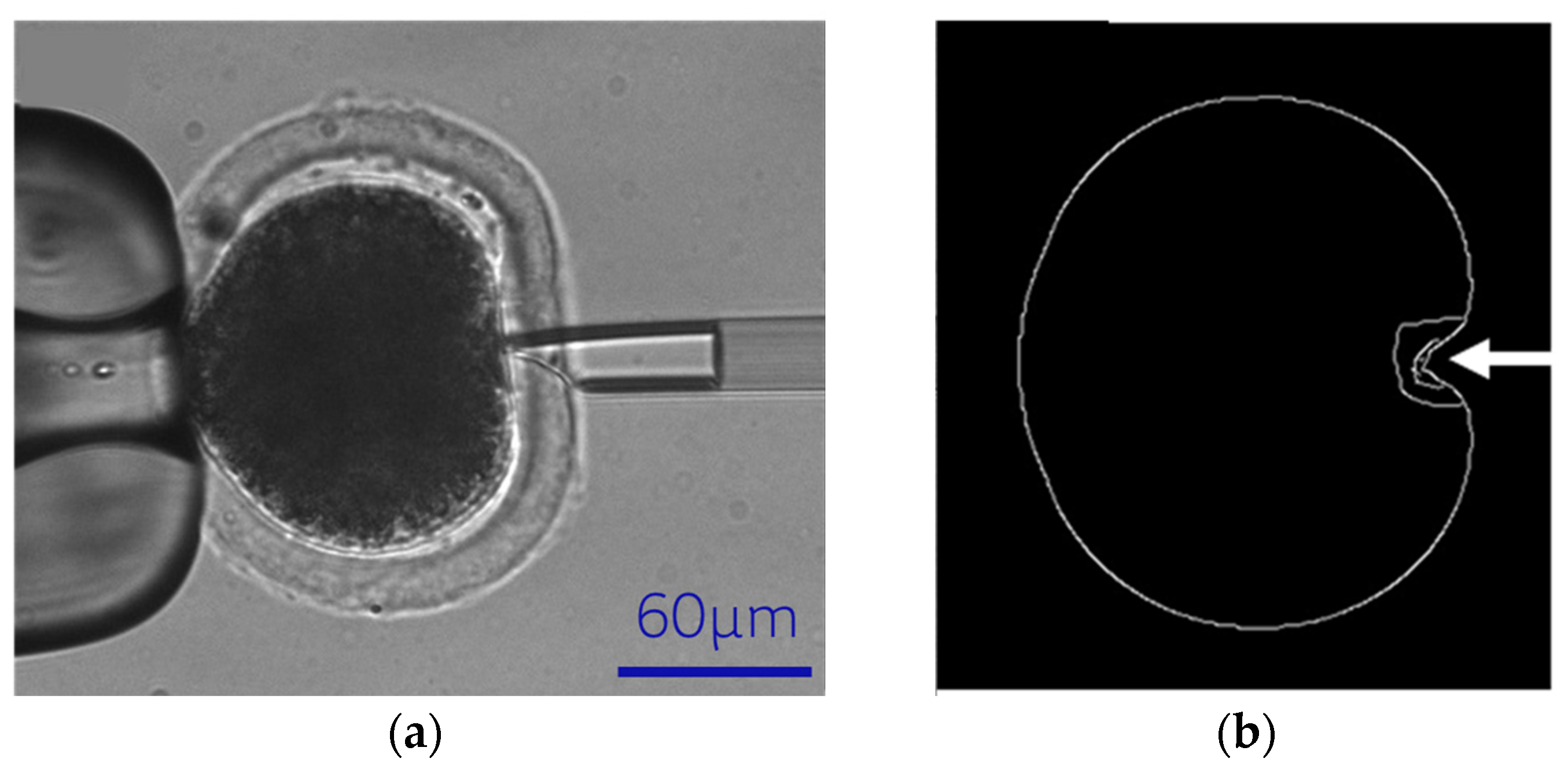 Sensors 24 06988 g006