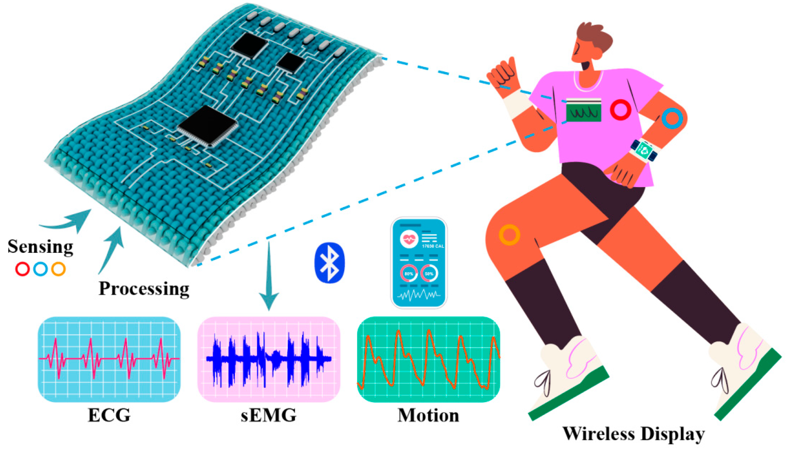 Sensors 24 06991 g001