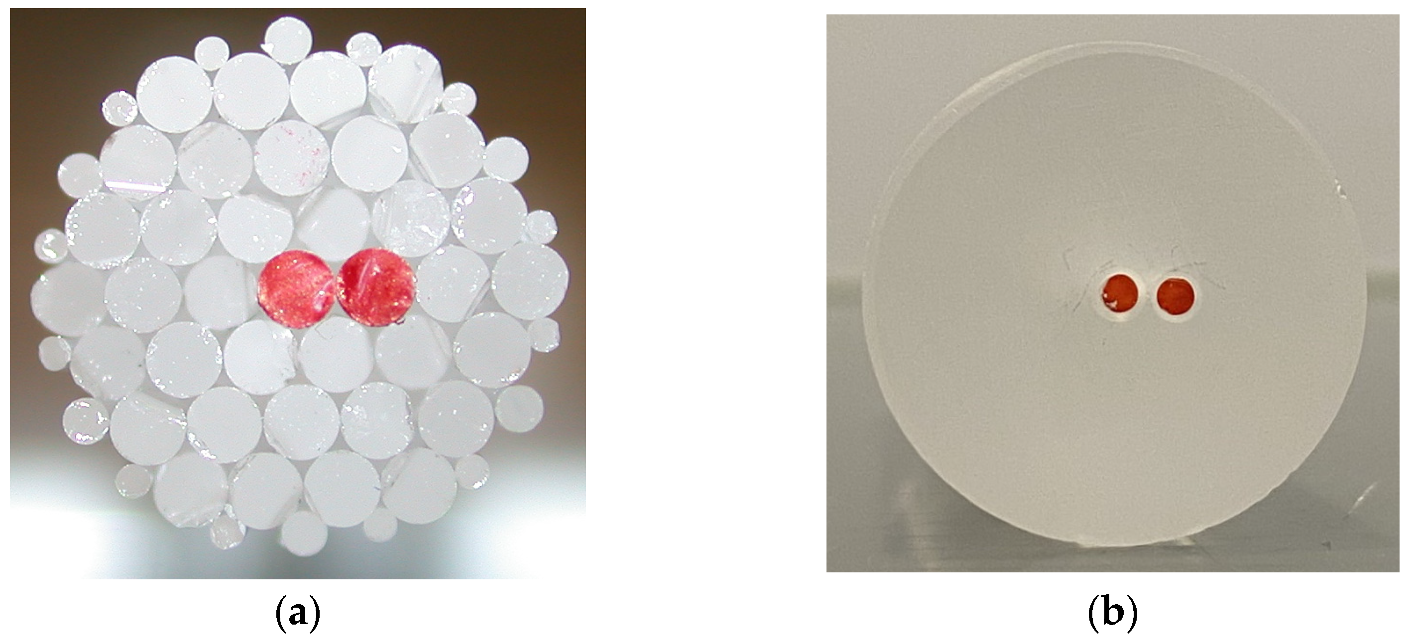 Sensors 24 06999 g004