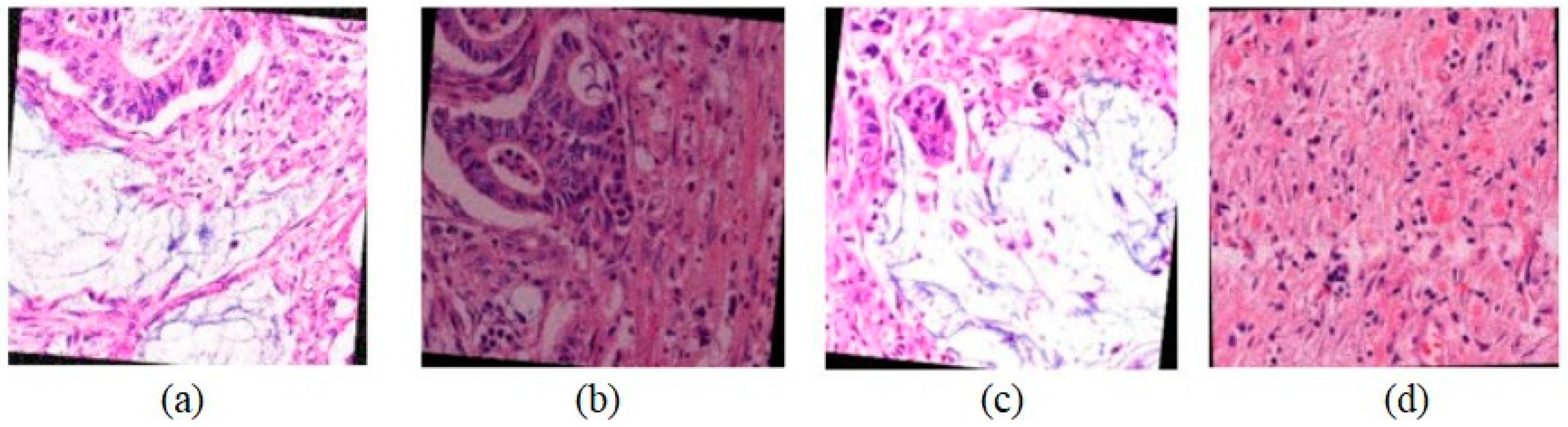 Sensors 24 07005 g003