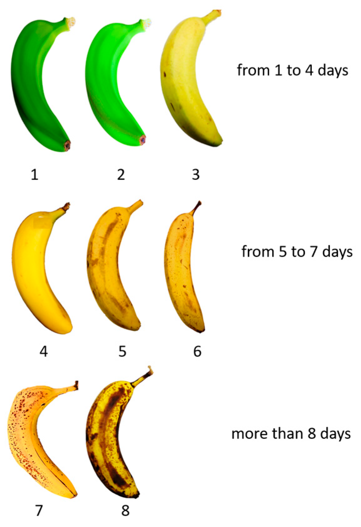 Sensors 24 07010 g001