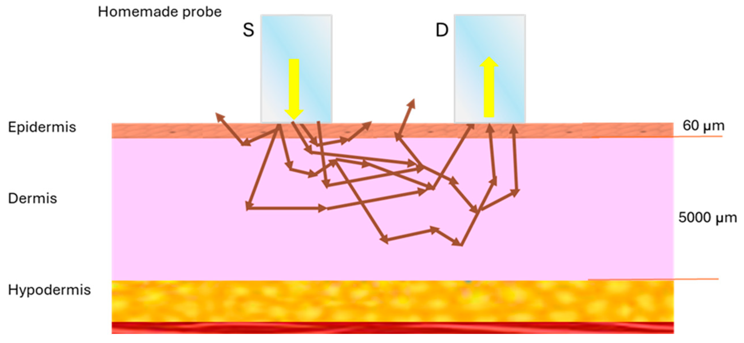 Sensors 24 07010 g005