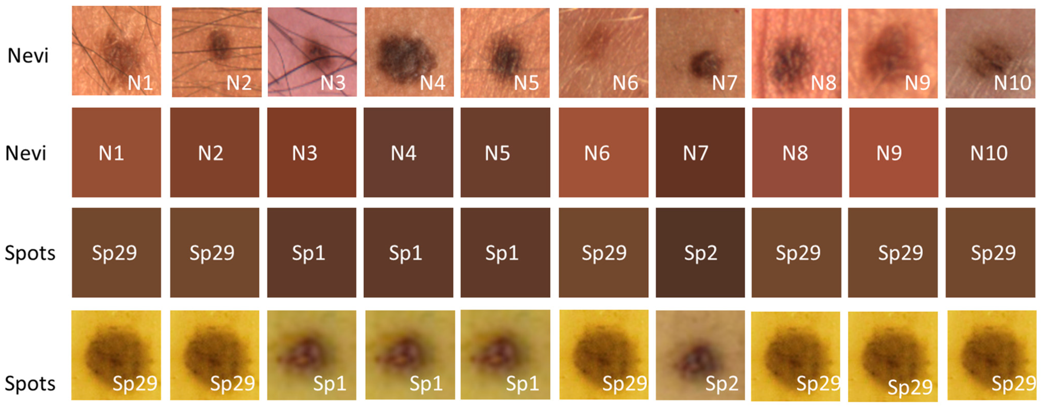 Sensors 24 07010 g015