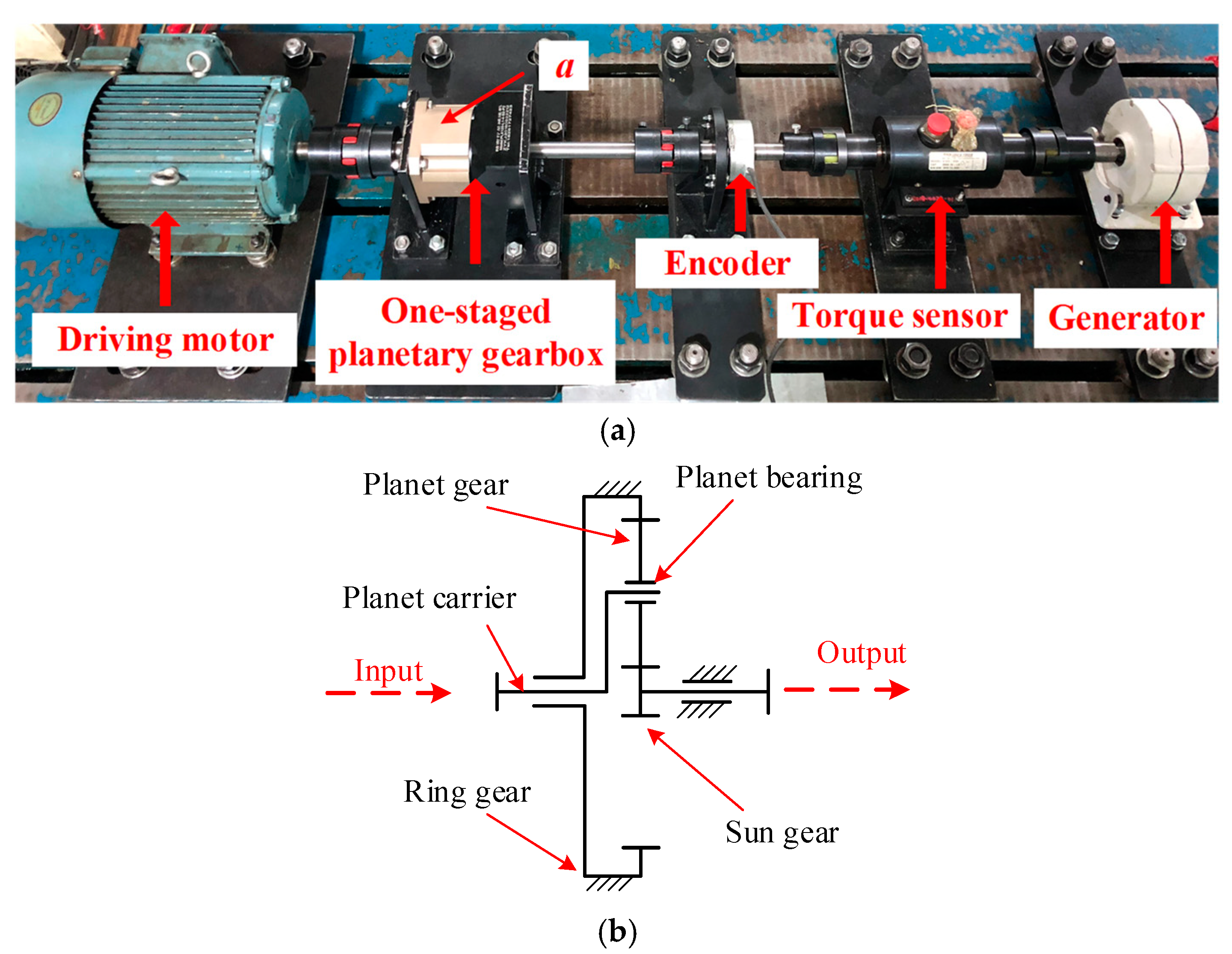 Sensors 24 07017 g007