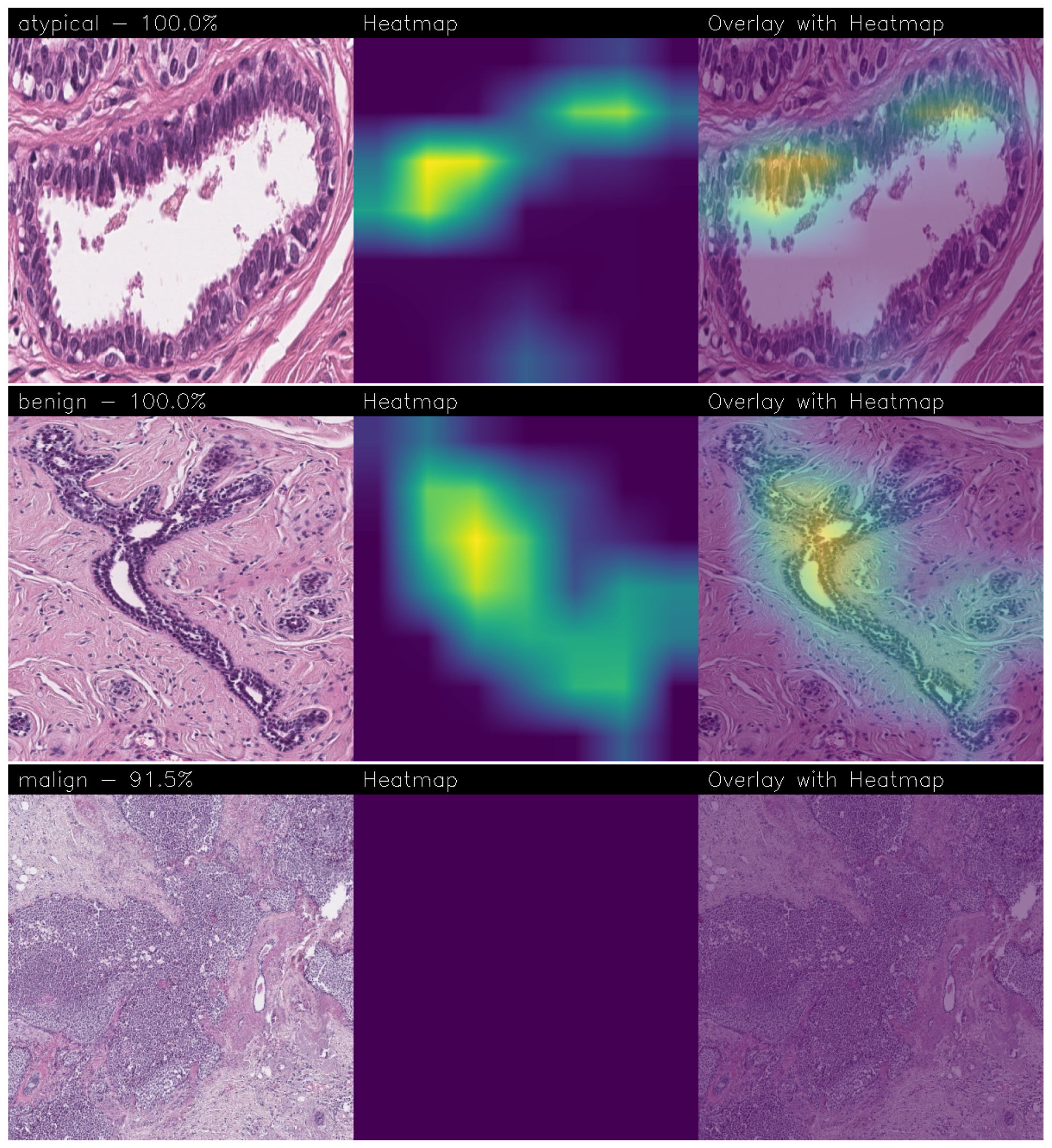 Sensors 24 07022 g011