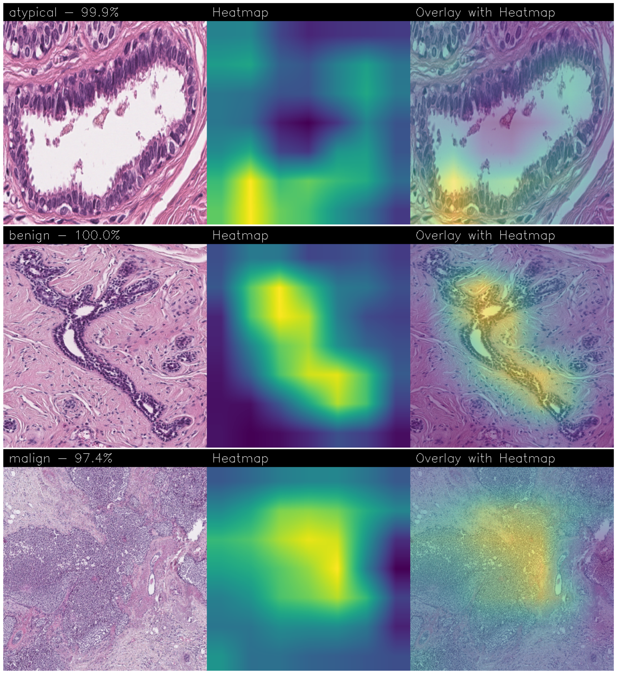 Sensors 24 07022 g013