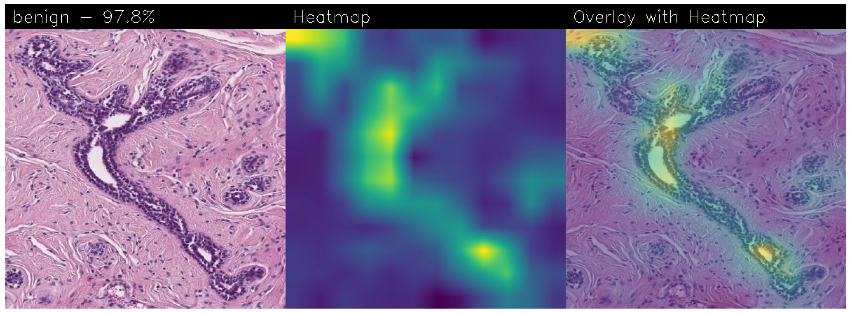 Sensors 24 07022 g015