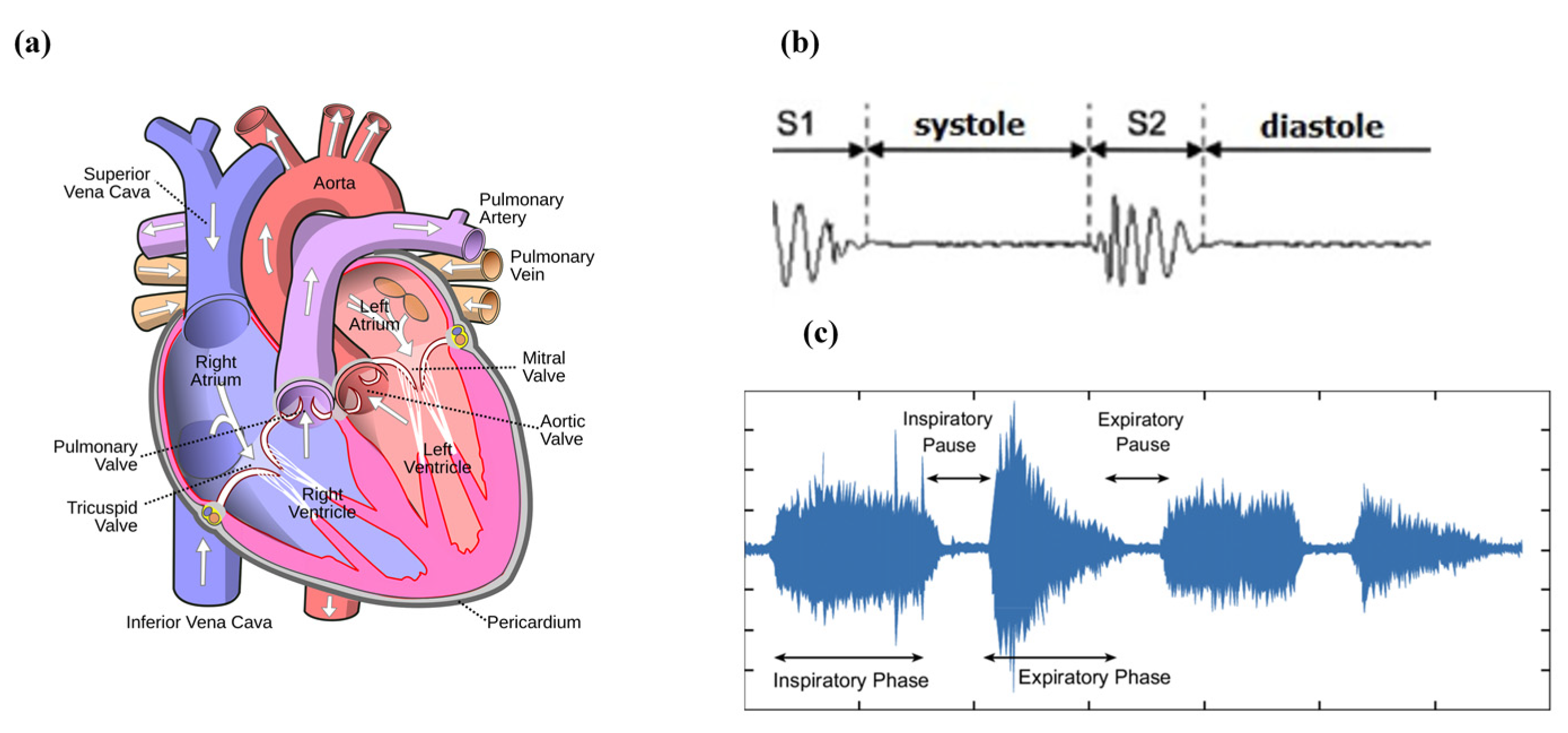 Sensors 24 07036 g001