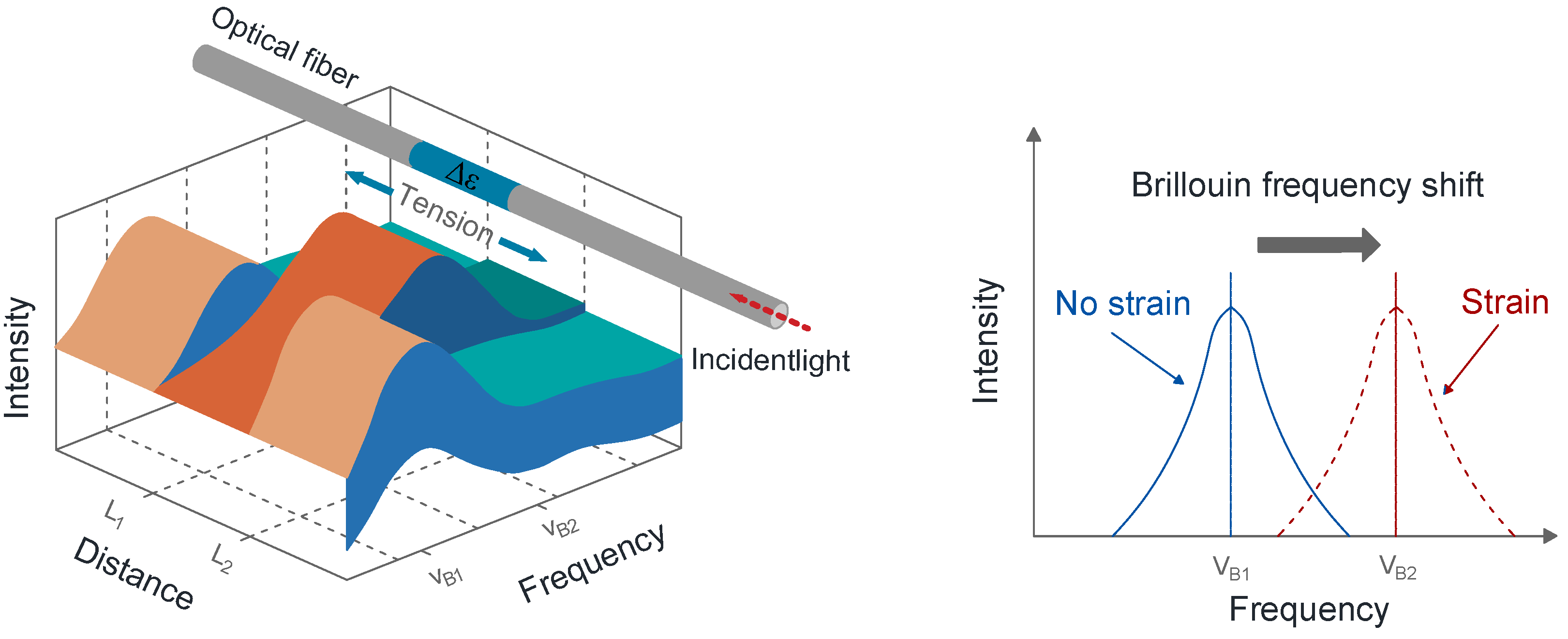 Sensors 24 07037 g001