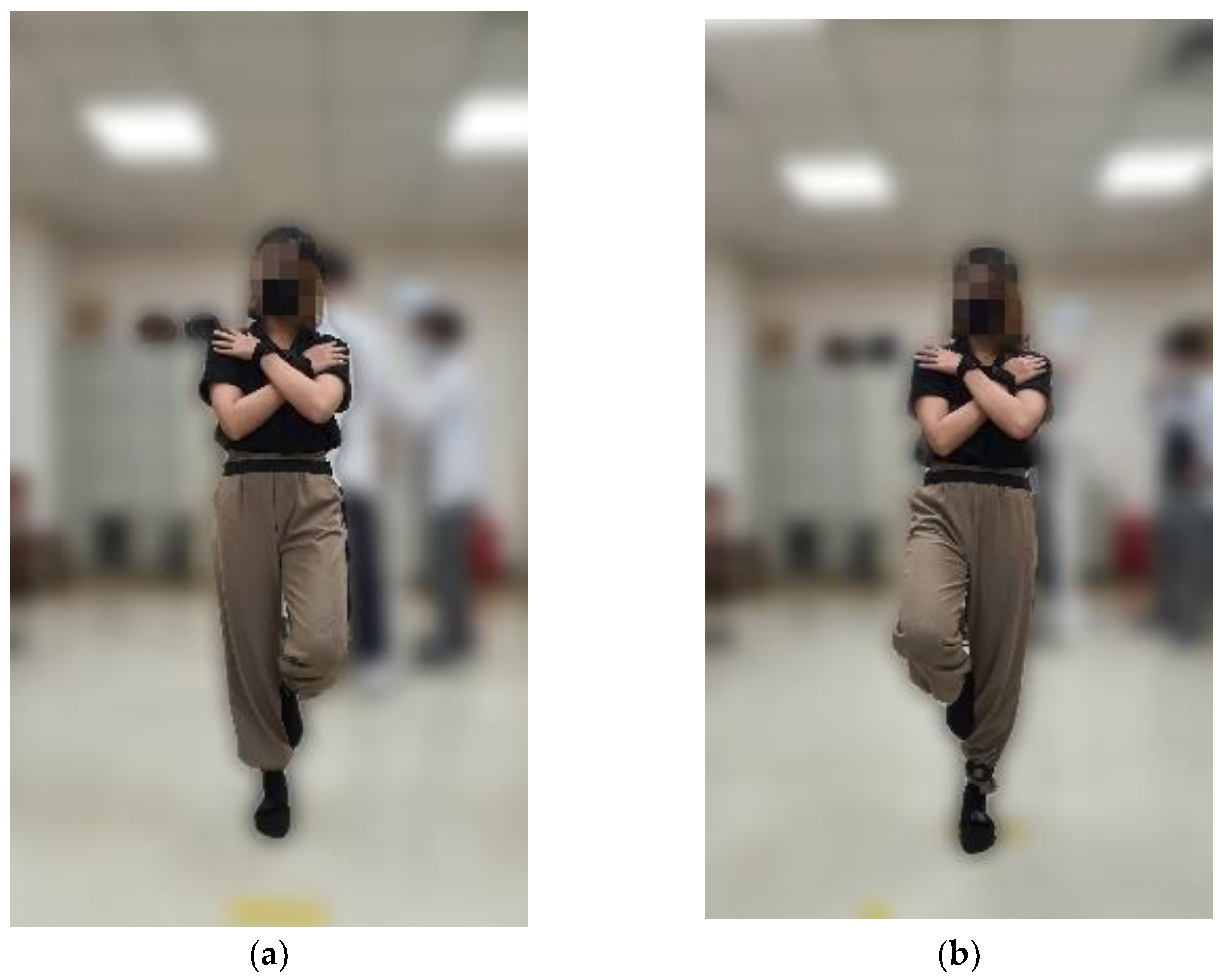 Sensors 24 07078 g002