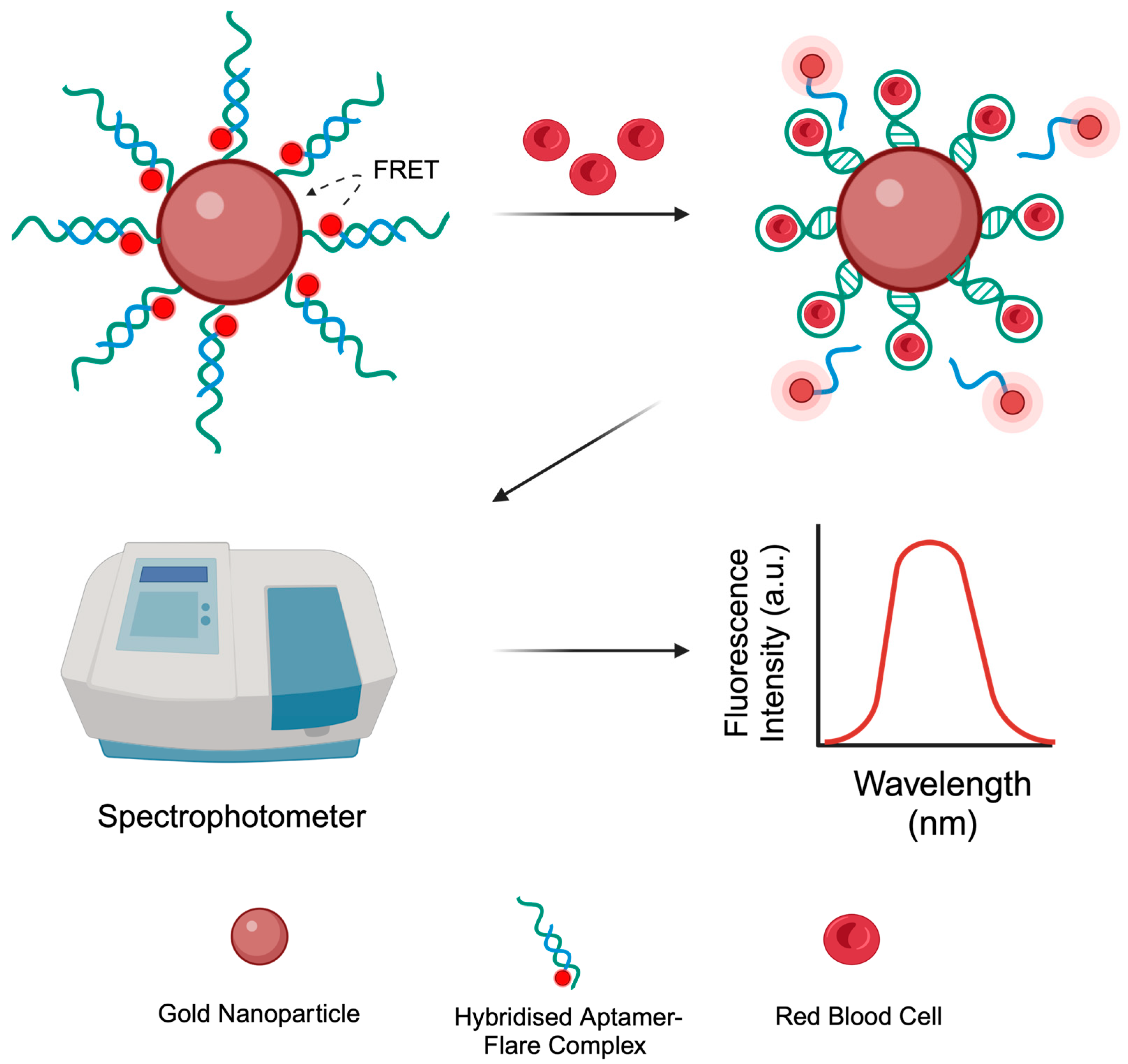 Sensors 24 07081 g001
