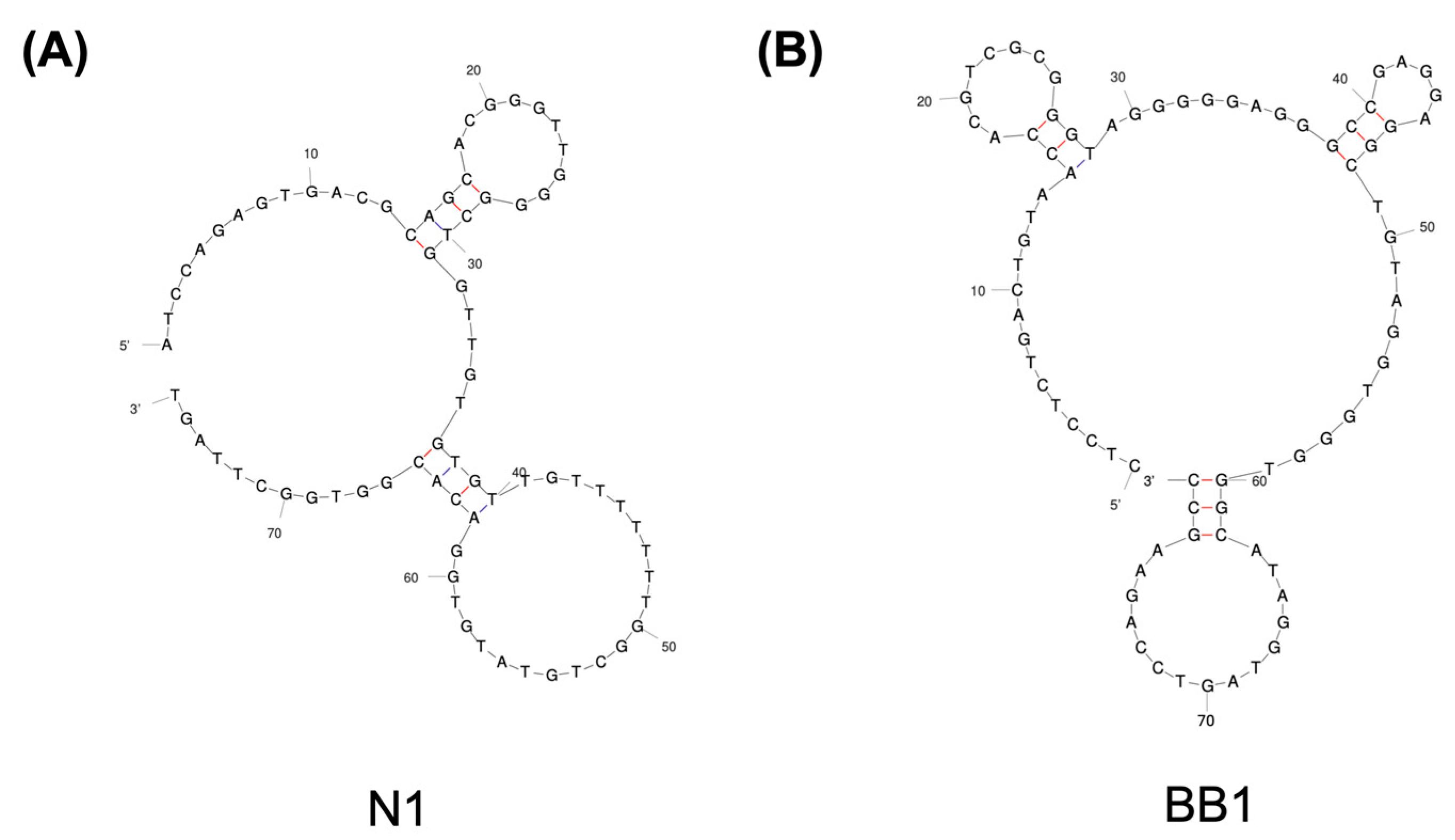 Sensors 24 07081 g002