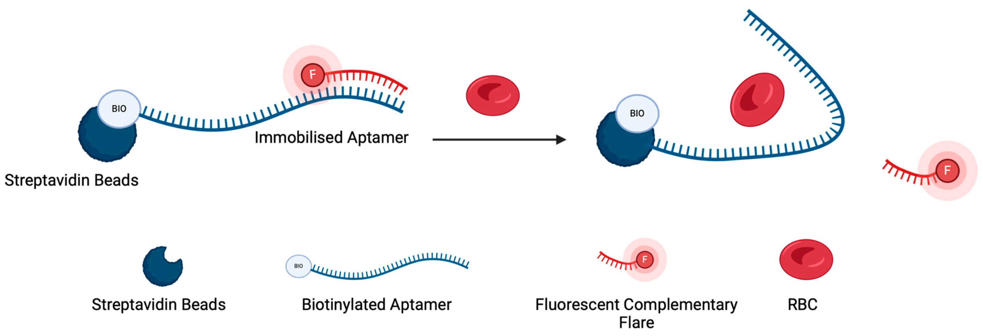 Sensors 24 07081 g003