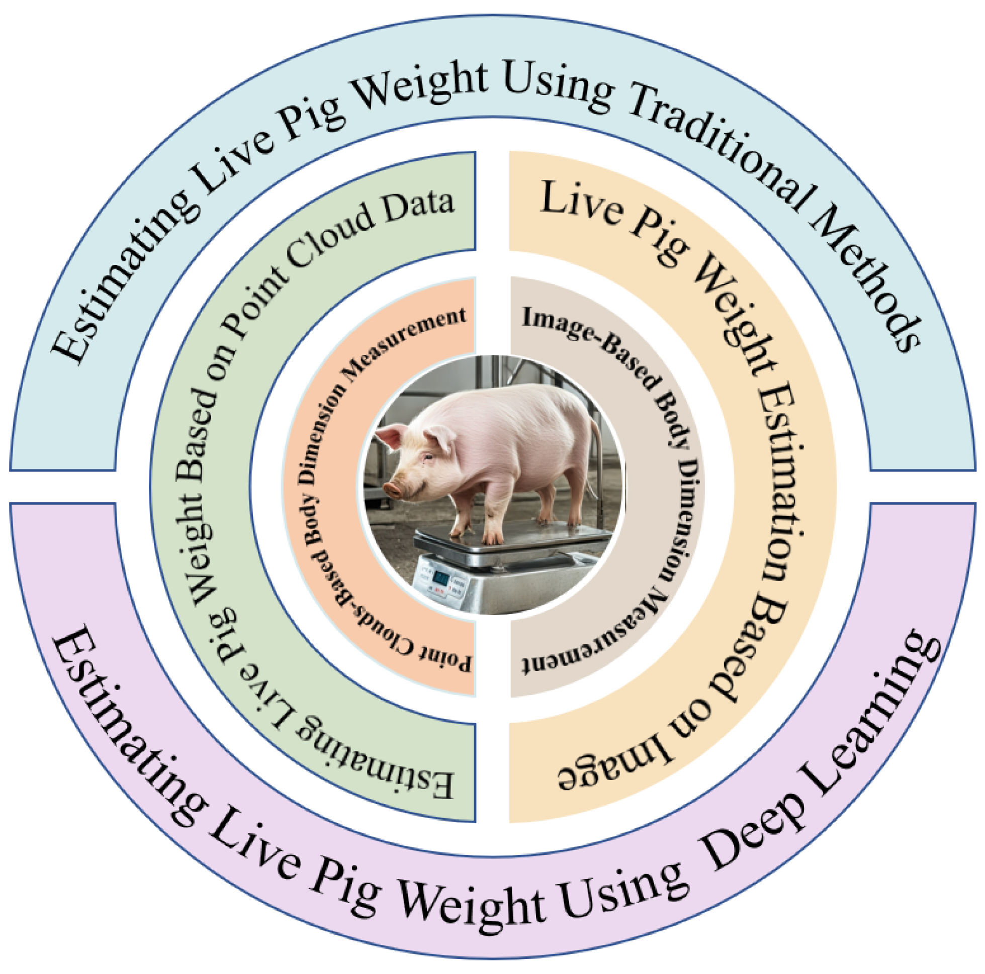 Sensors 24 07093 g001