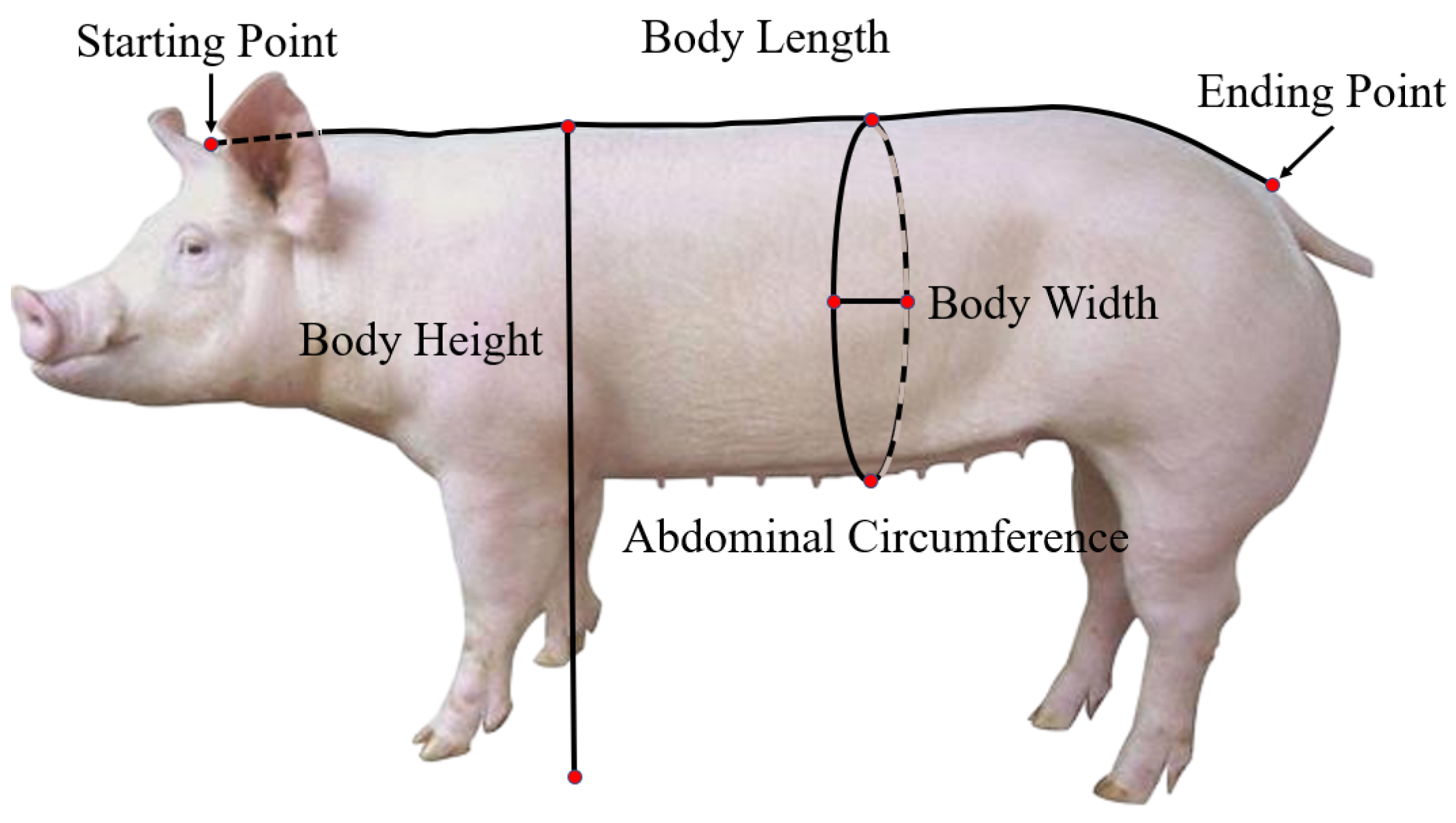 Sensors 24 07093 g003