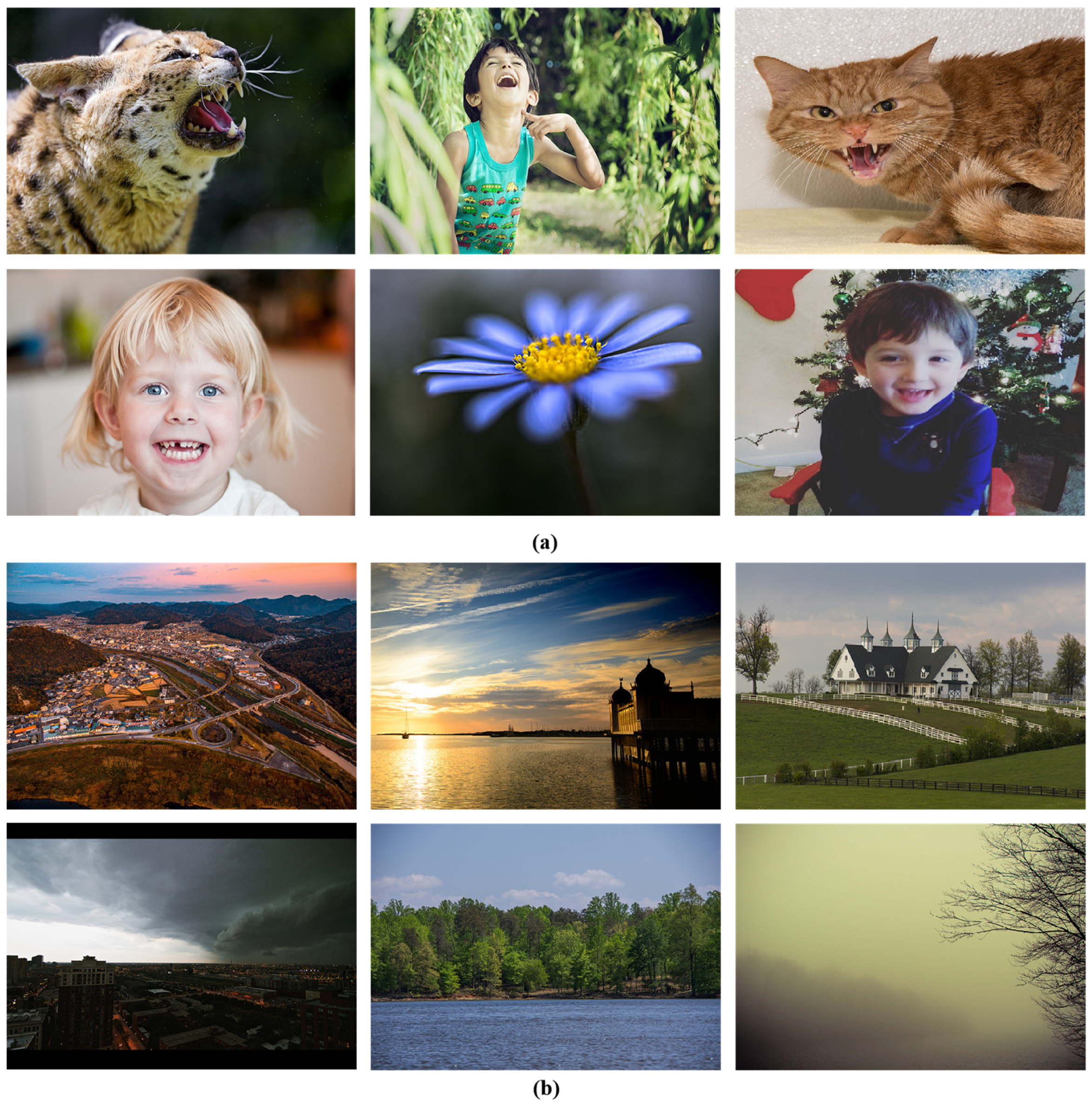 Sensors 24 07099 g007