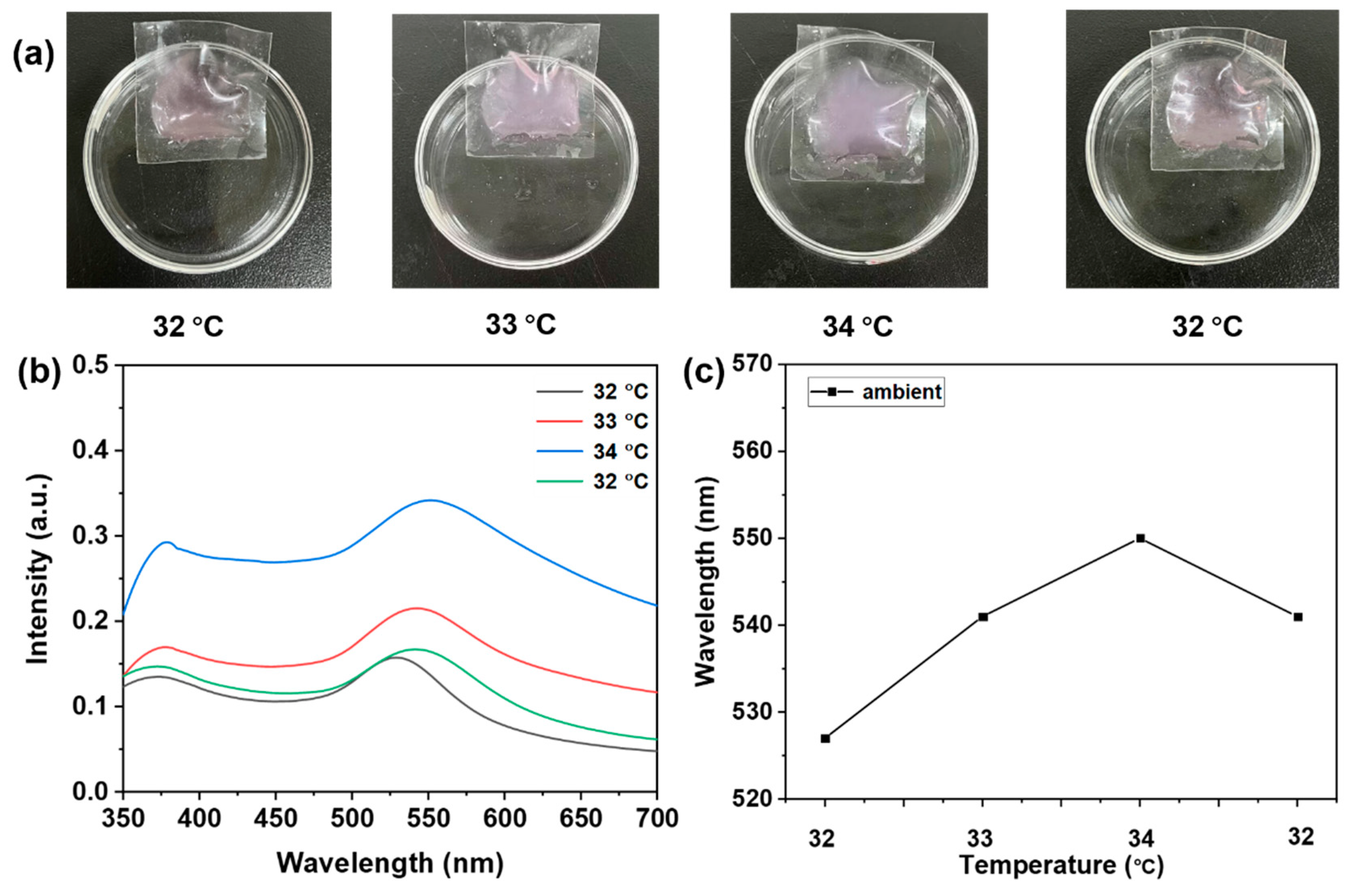 Sensors 24 07124 g008