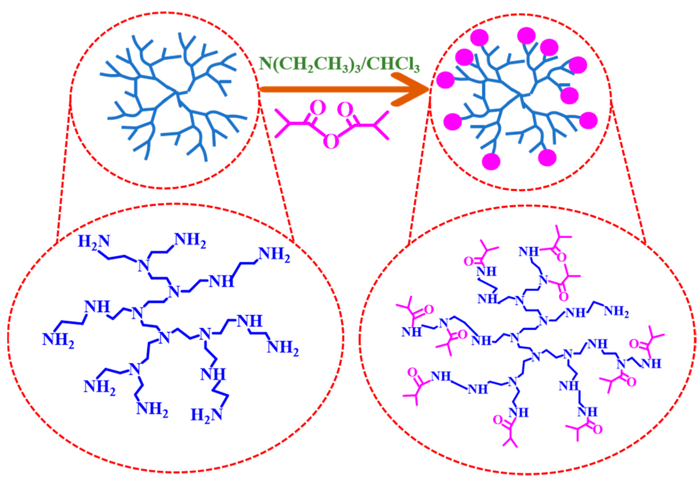 Sensors 24 07124 sch001
