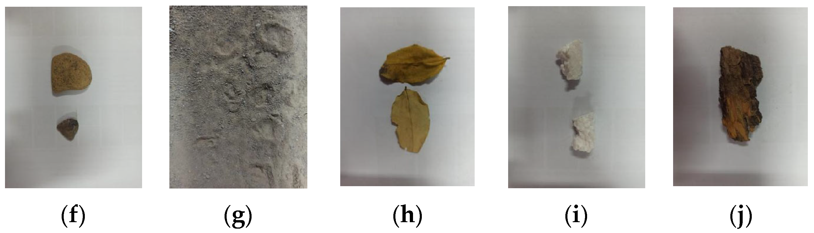 Sensors 24 07131 g003b