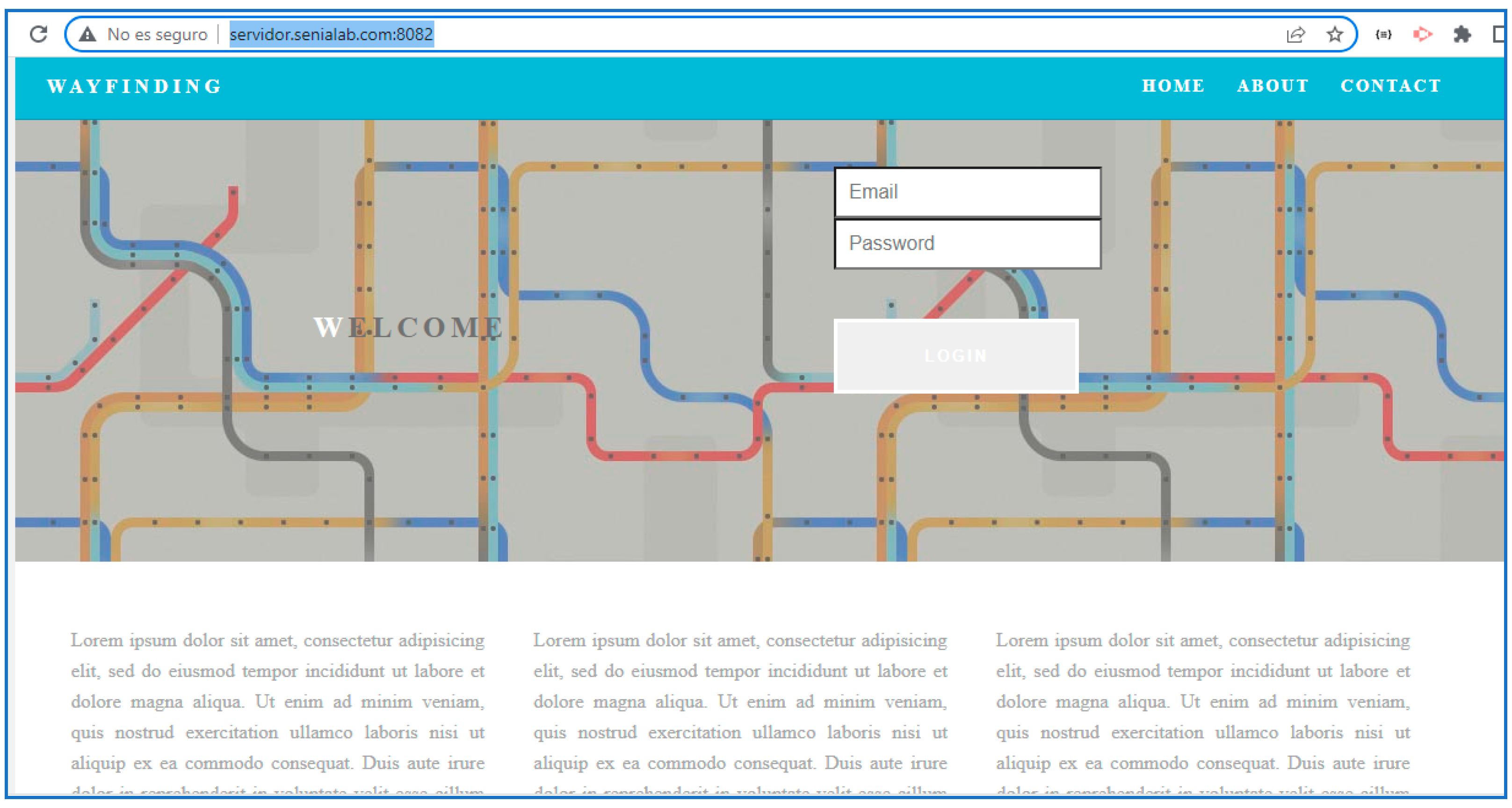 Sensors 24 07154 g024