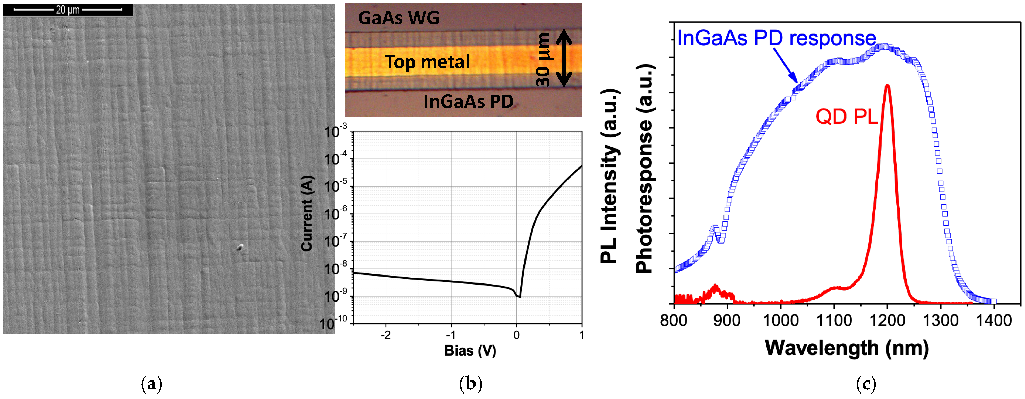 Sensors 24 07178 g004