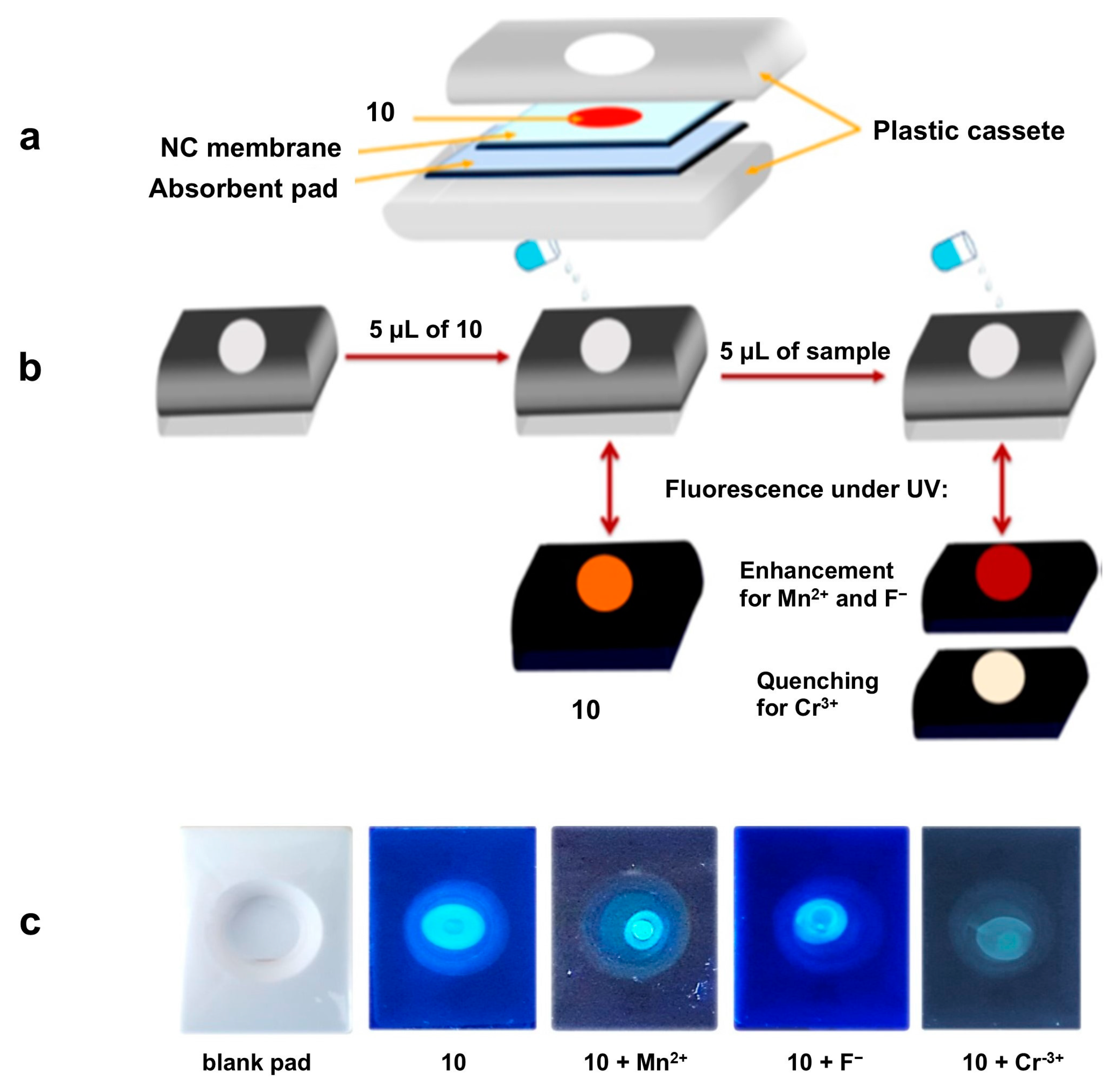 Sensors 24 07181 g004