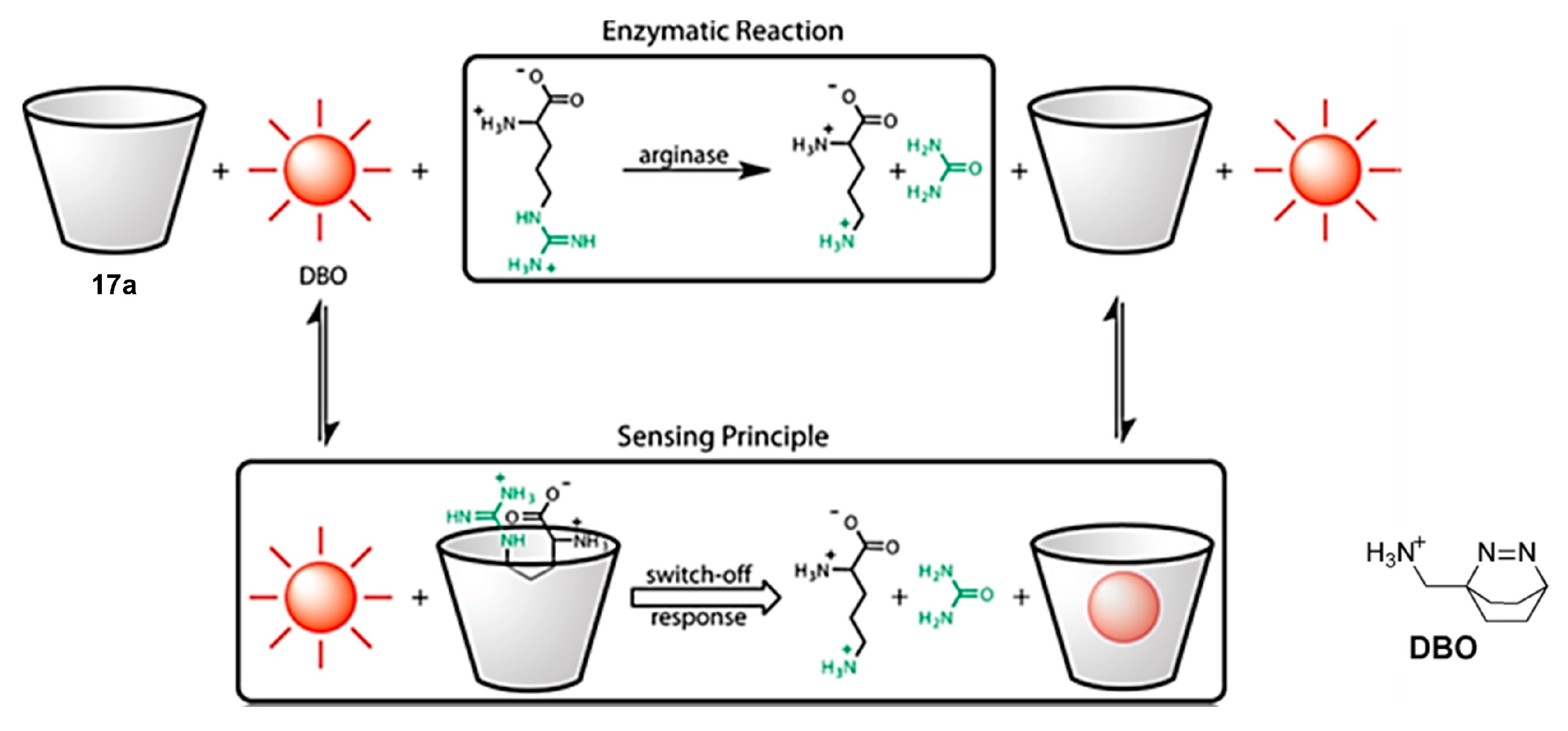 Sensors 24 07181 g005