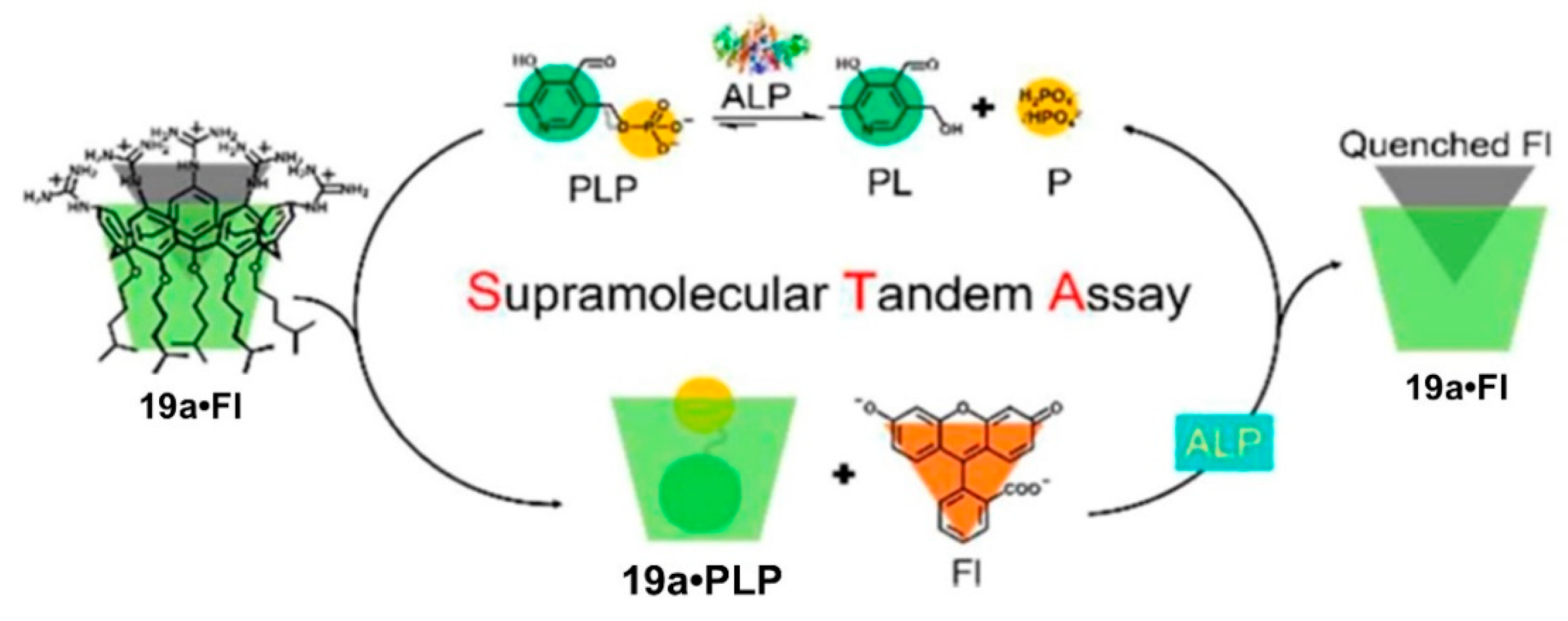 Sensors 24 07181 g008