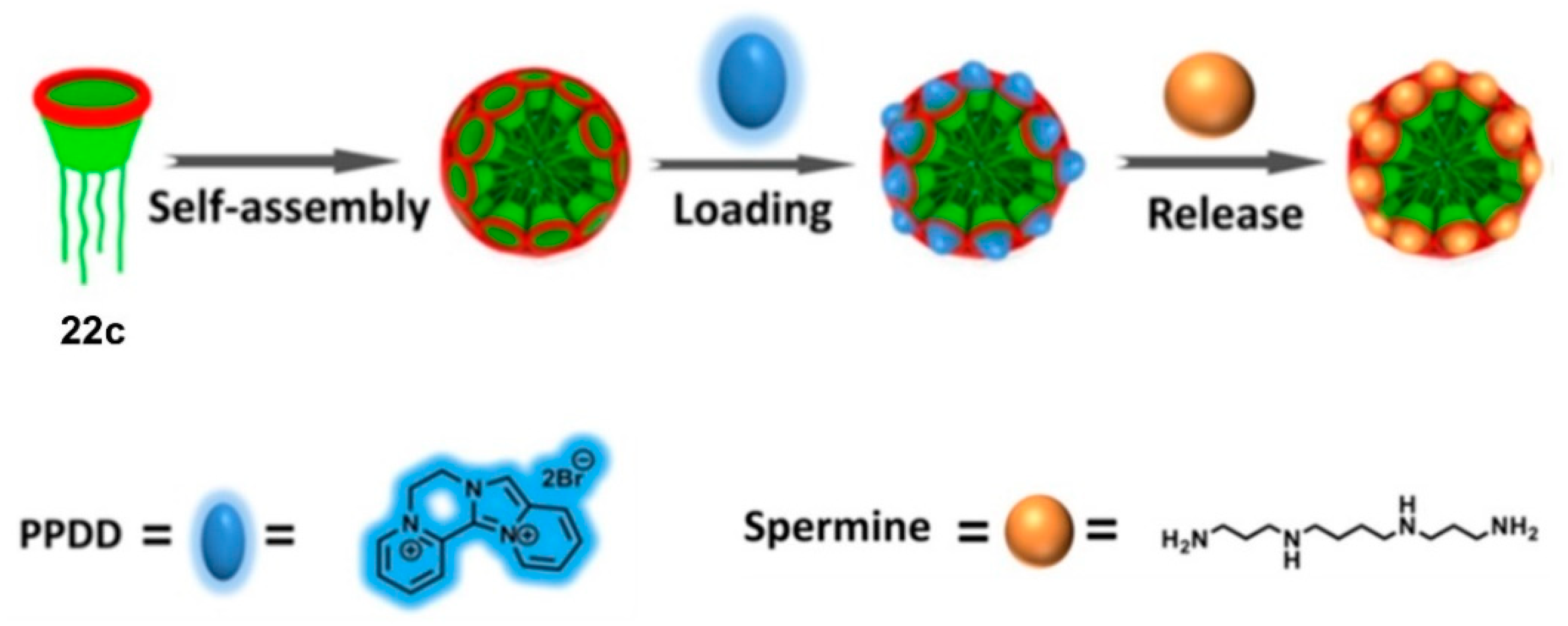 Sensors 24 07181 g009