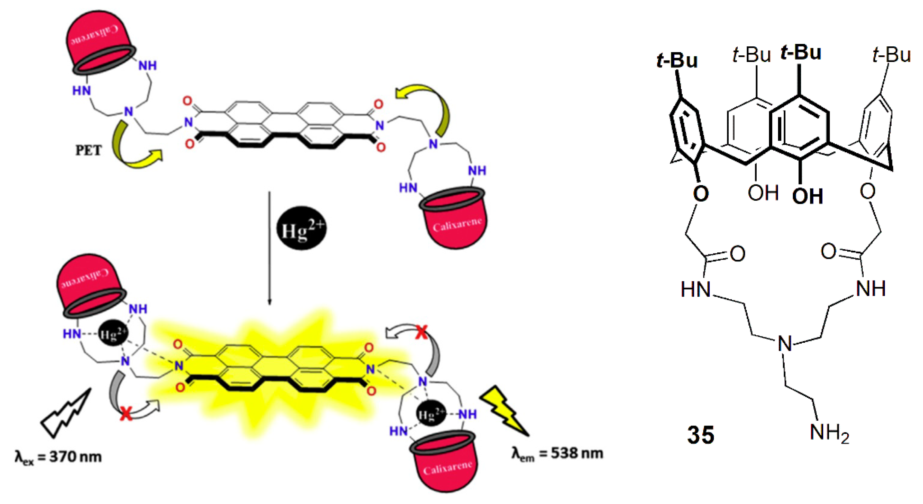 Sensors 24 07181 g012