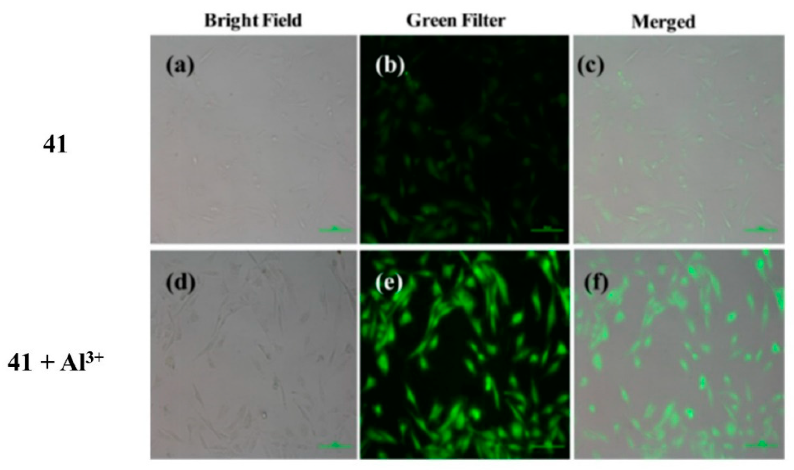 Sensors 24 07181 g014