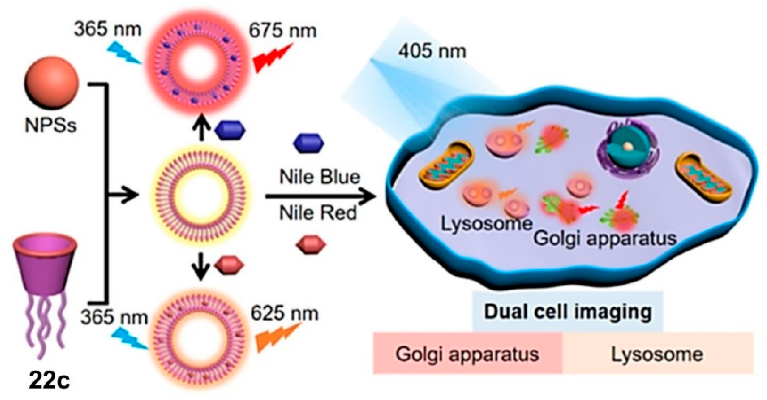 Sensors 24 07181 g016