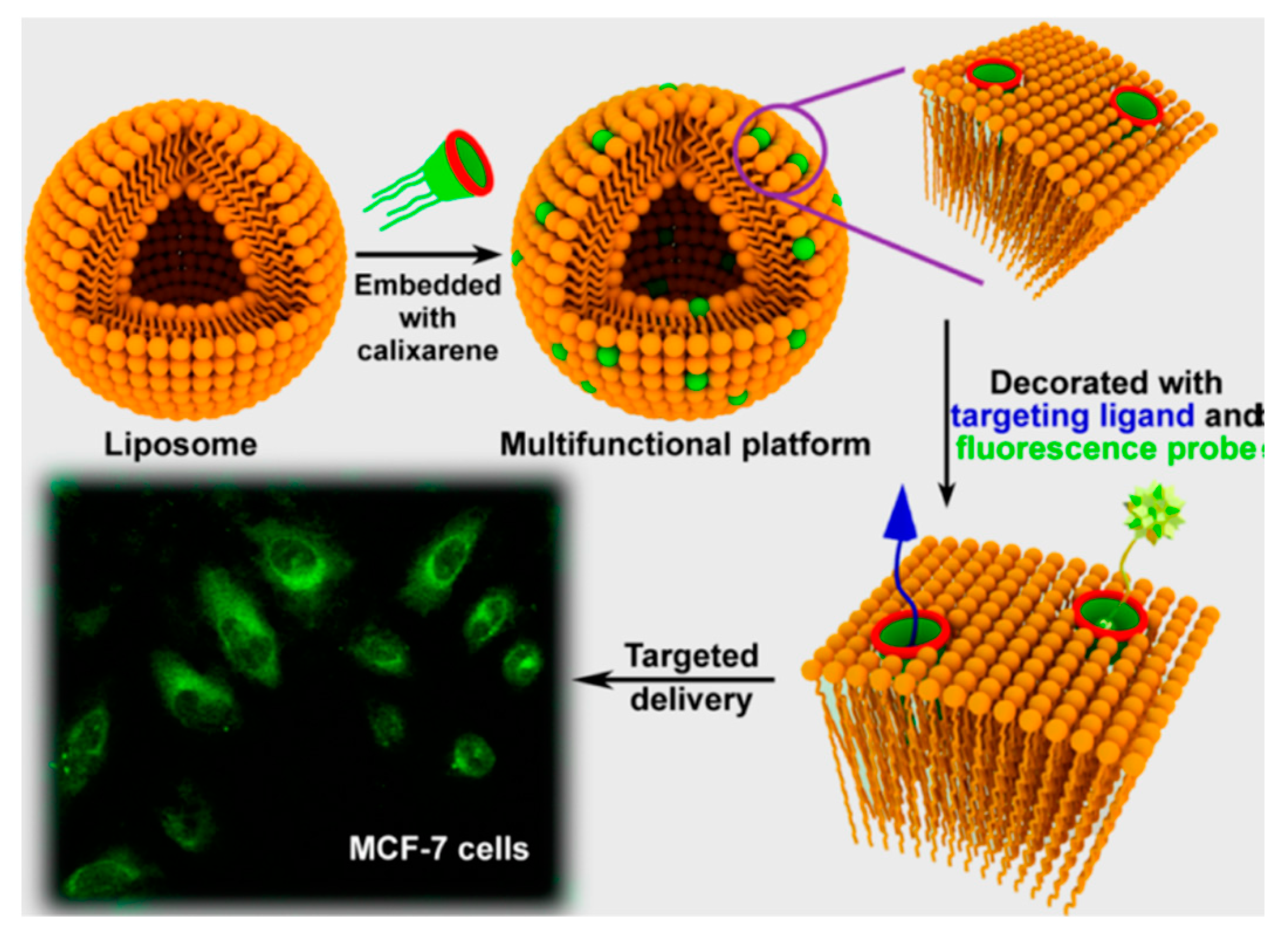 Sensors 24 07181 g017