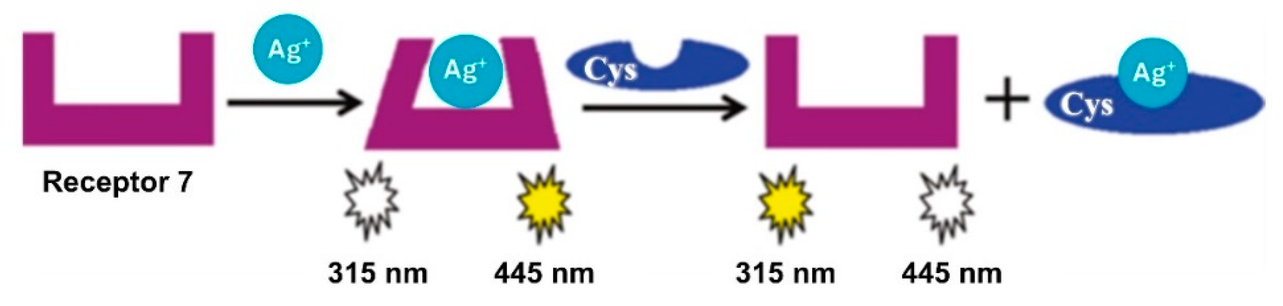 Sensors 24 07181 sch002