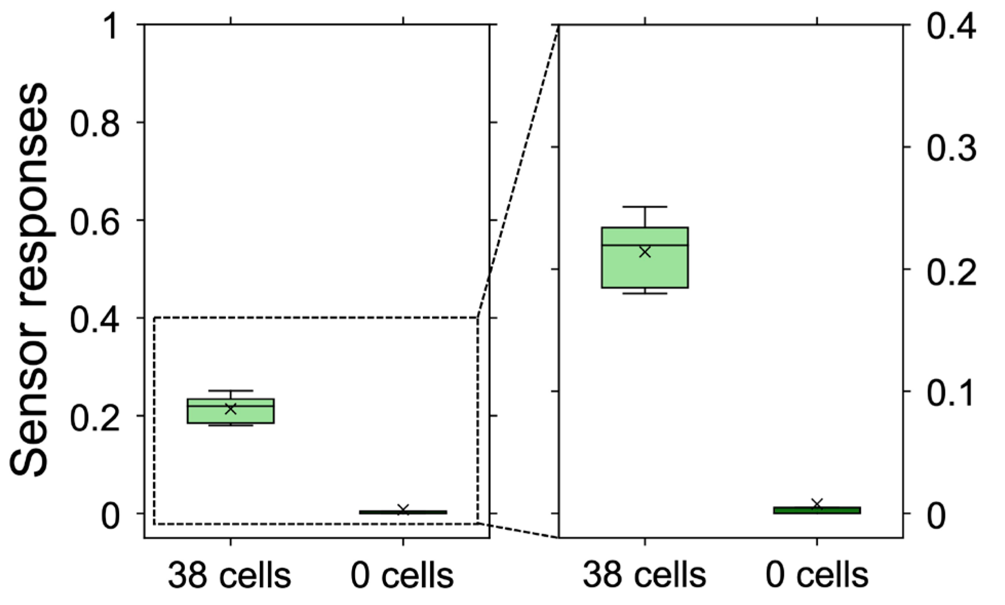 Sensors 24 07182 g005
