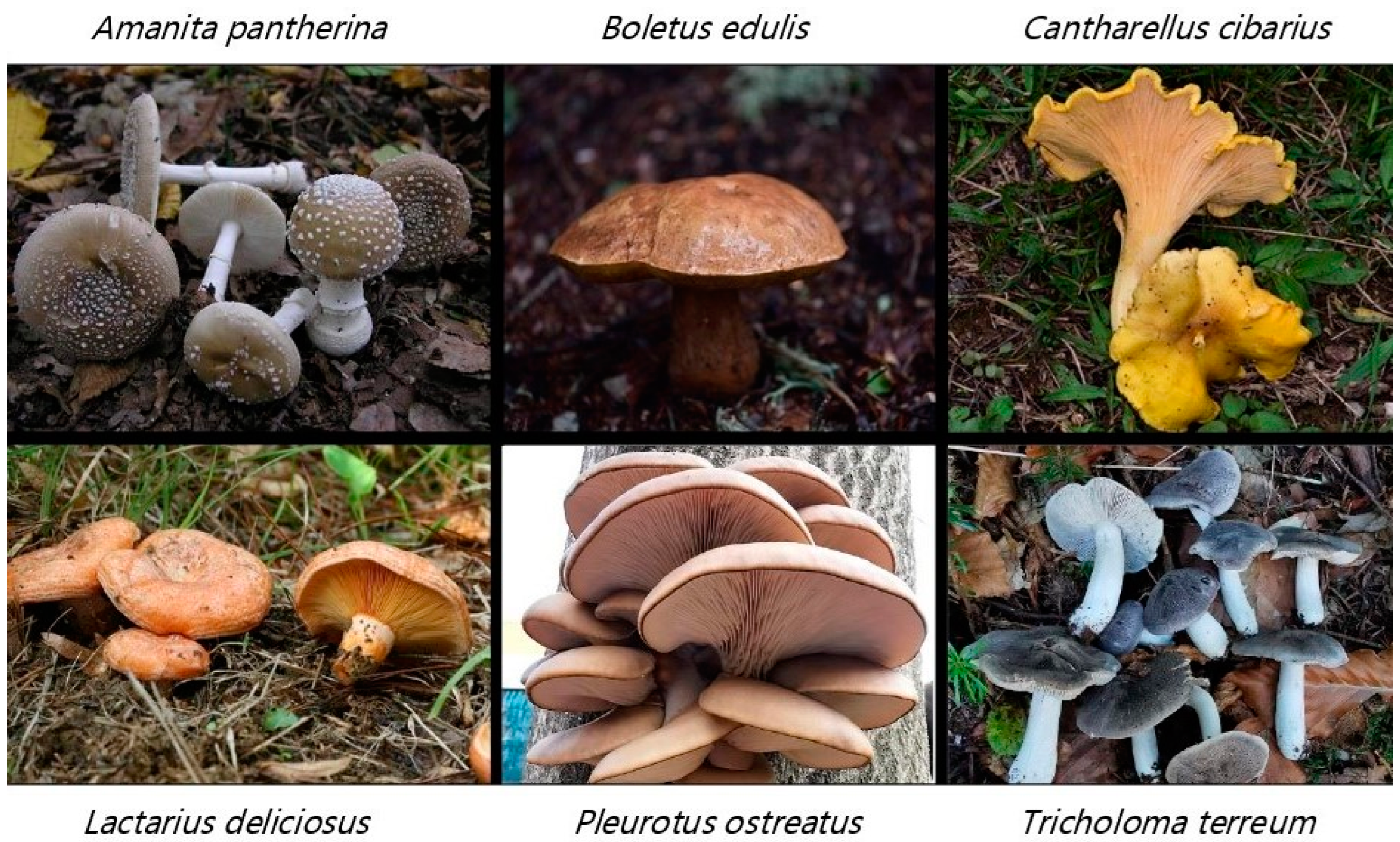 Sensors 24 07189 g001