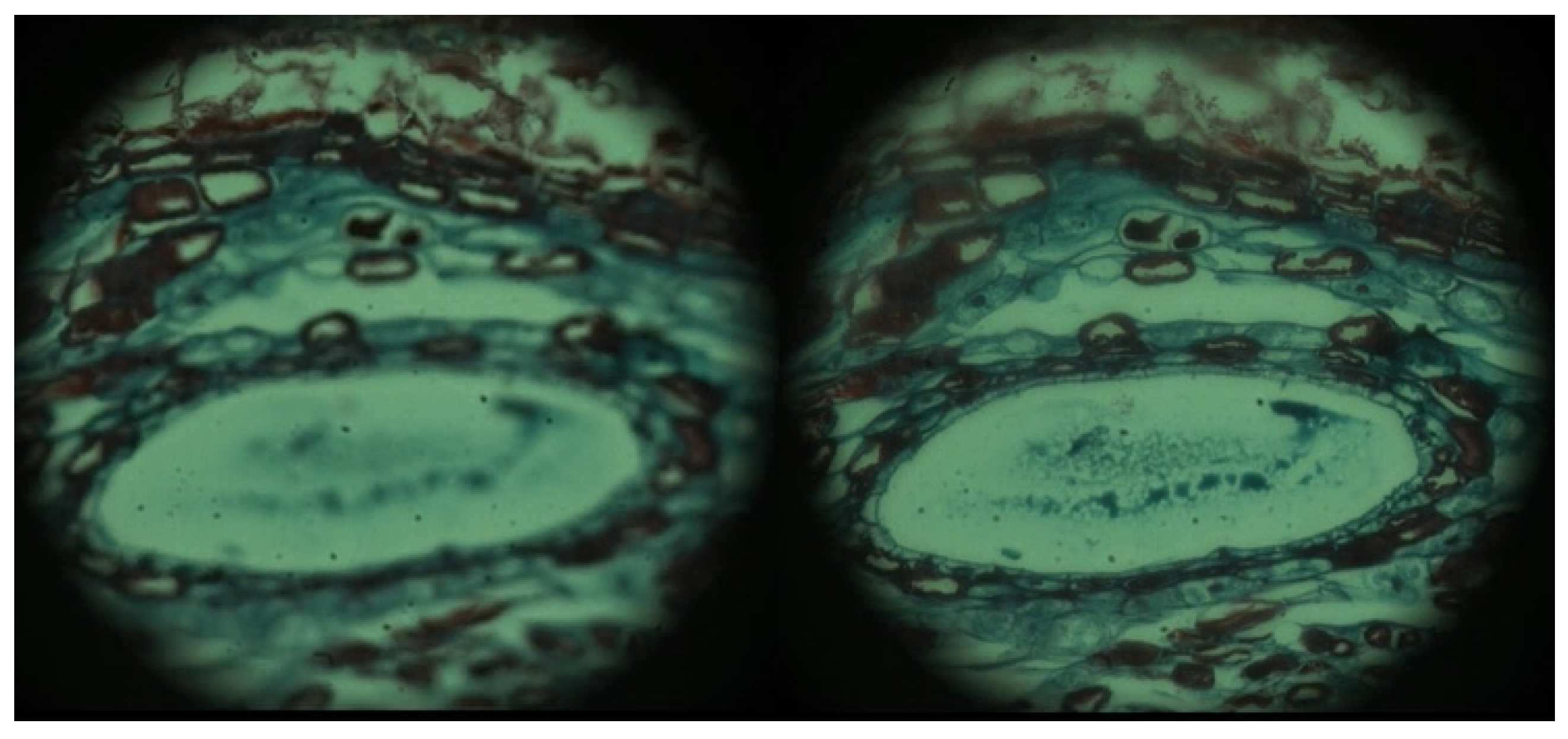 Sensors 24 07228 g001