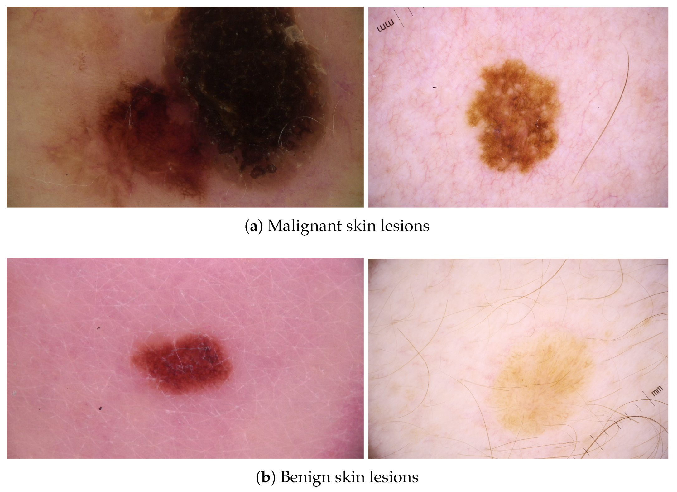 Sensors 24 07231 g005