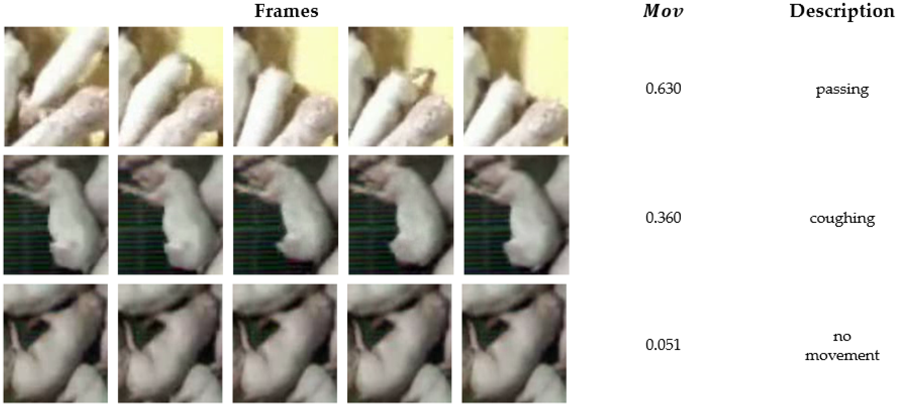 Sensors 24 07232 g010