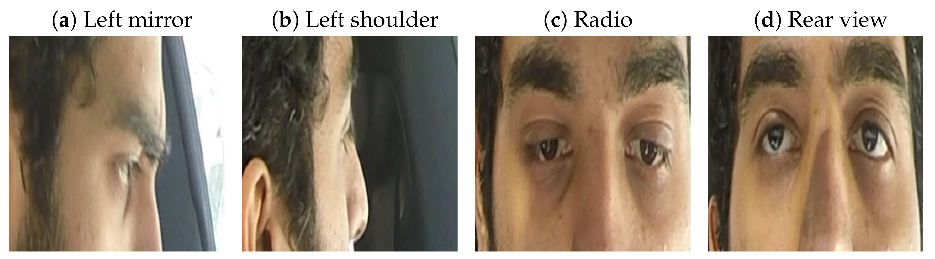 Sensors 24 07254 g001