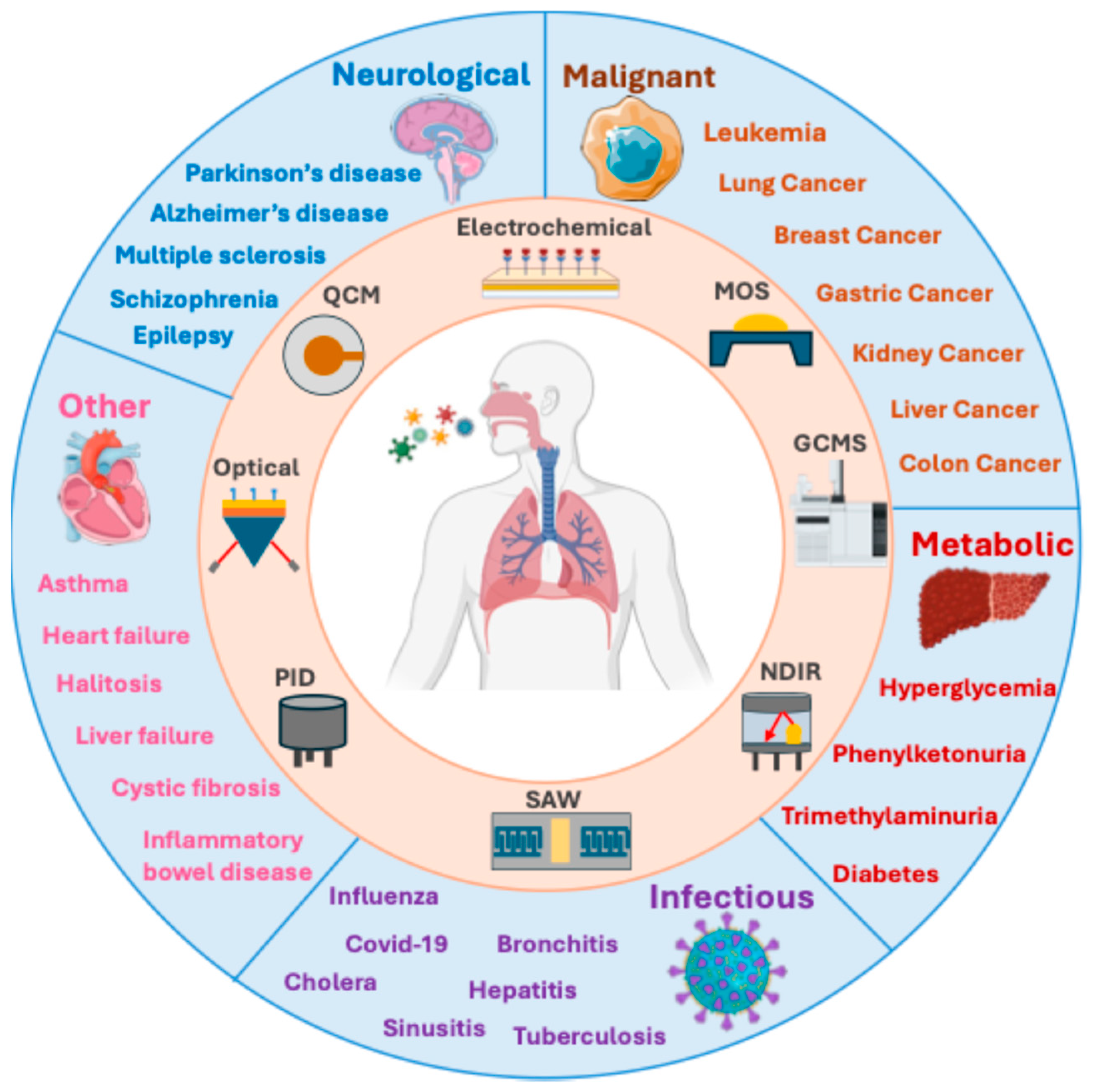 Sensors 24 07263 sch001 Sensors 24 07263 sch001