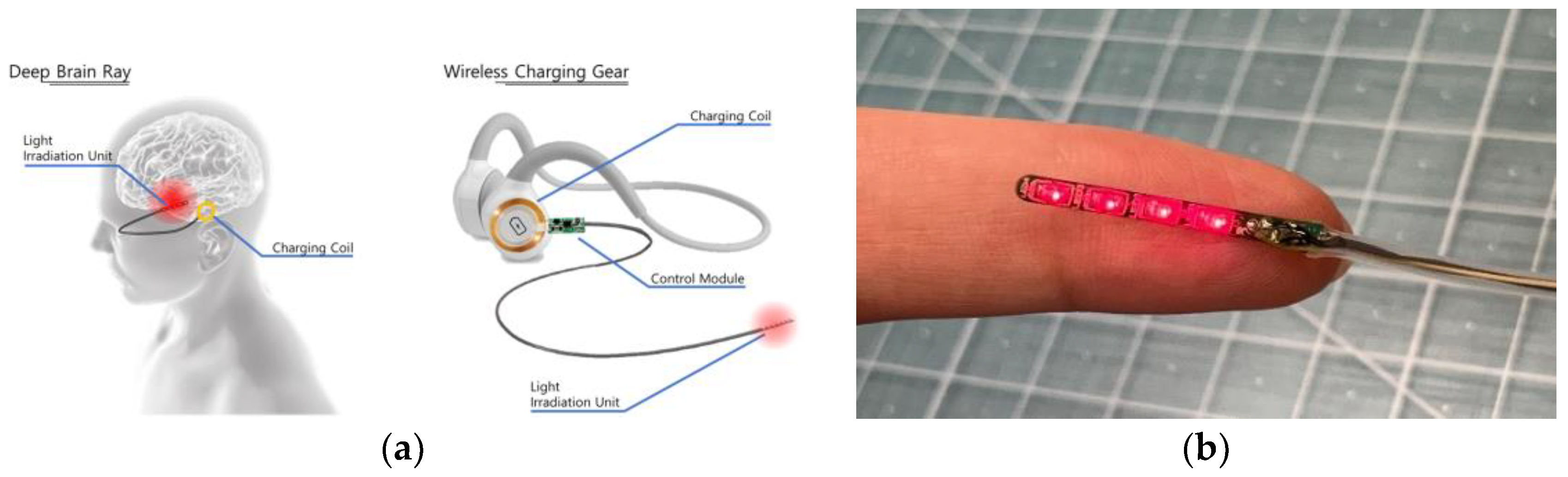 Sensors 24 07282 g001