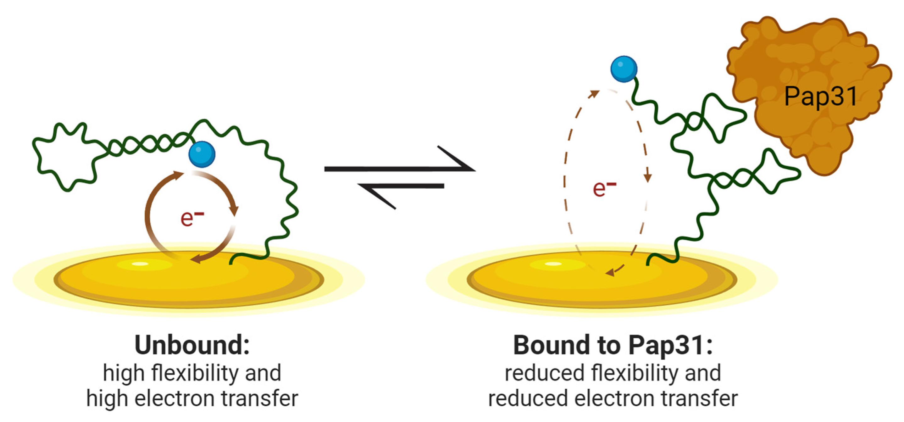 Sensors 24 07295 g001 Sensors 24 07295 g001