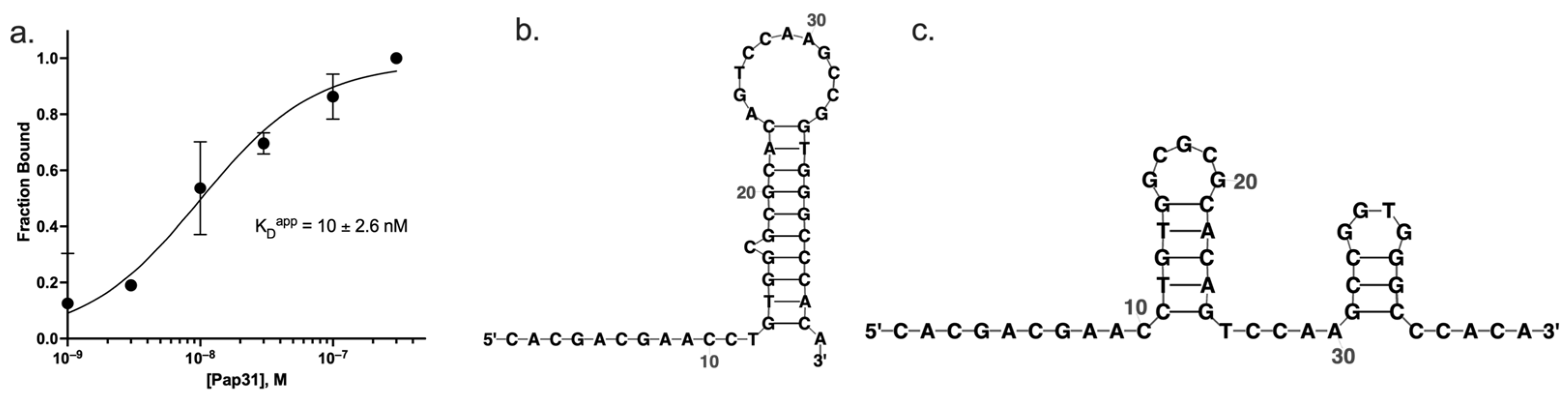 Sensors 24 07295 g002 Sensors 24 07295 g002
