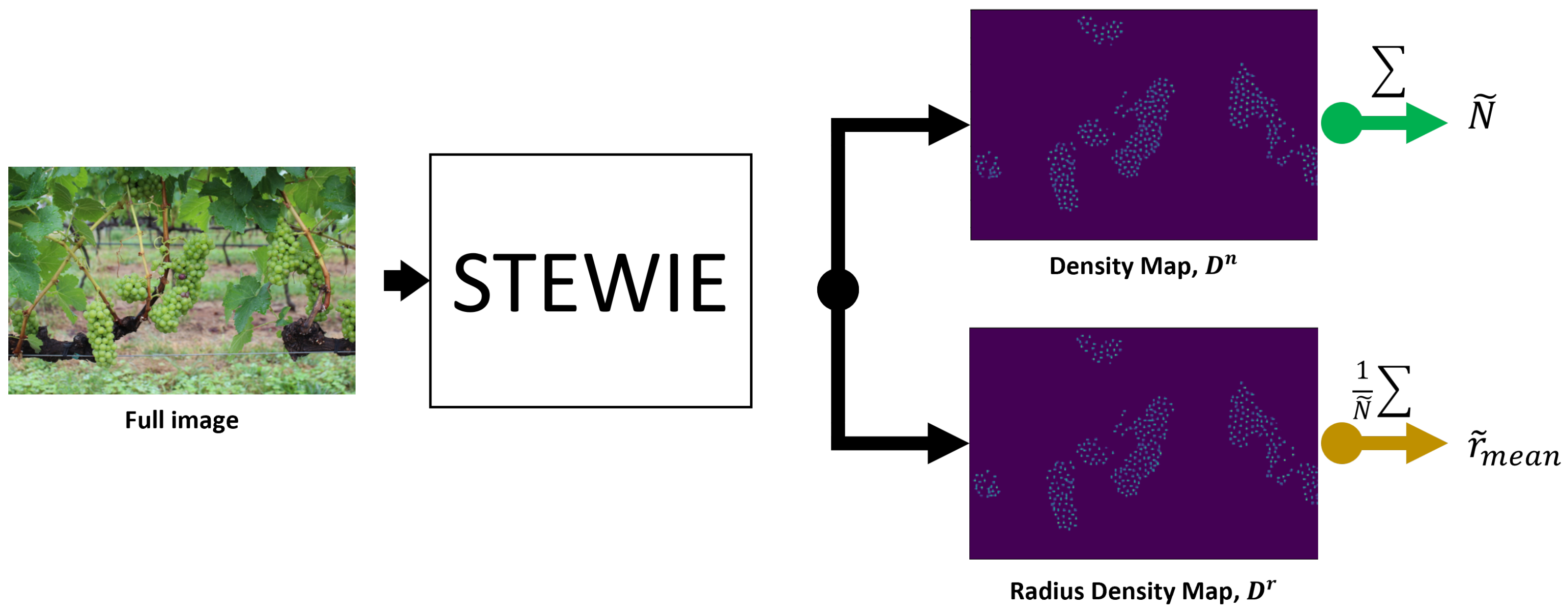Sensors 24 07305 g001