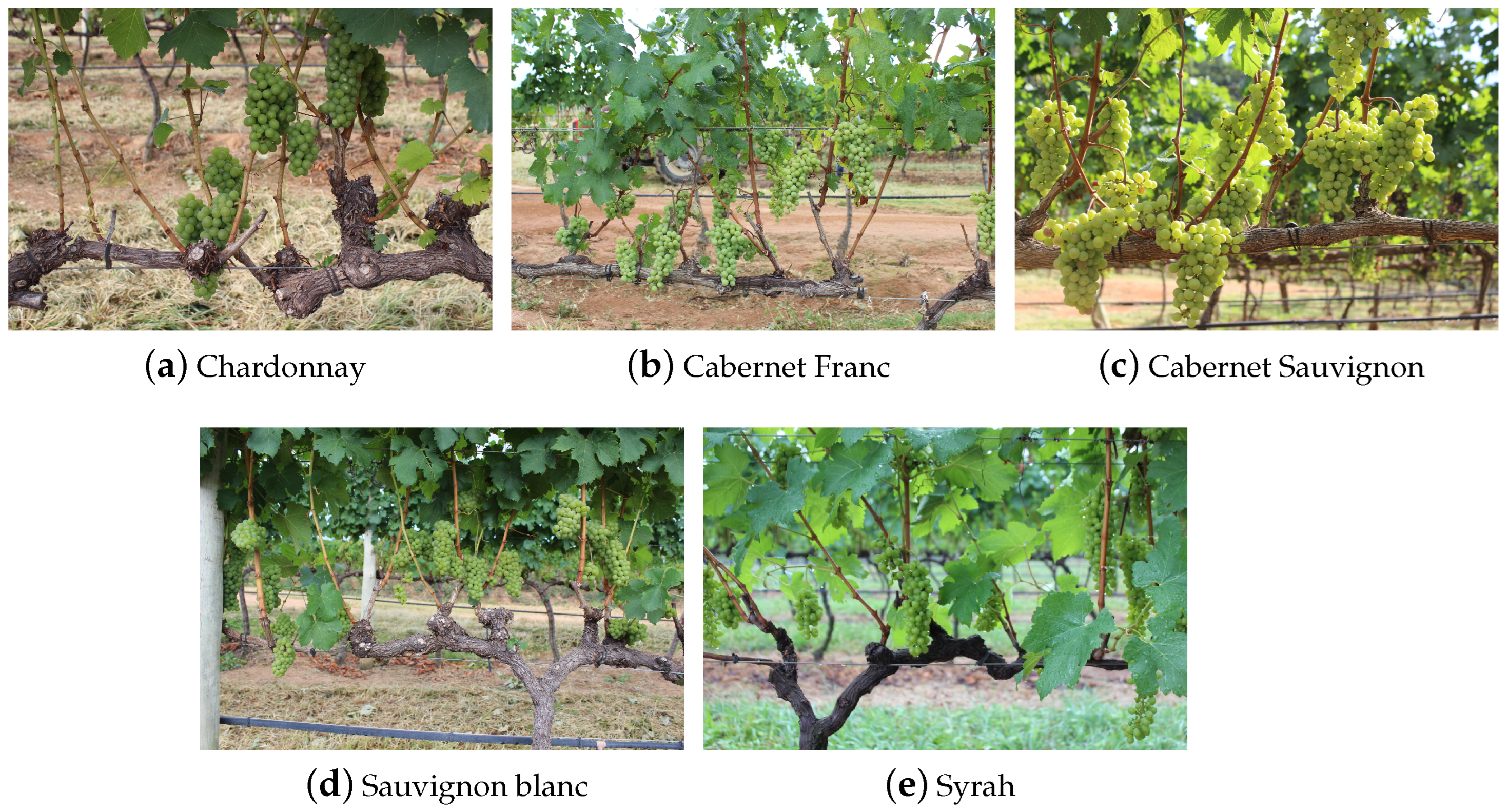 Sensors 24 07305 g002