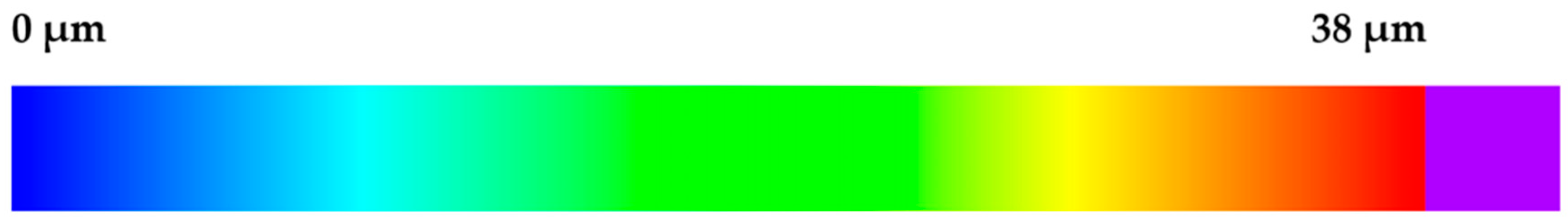 Sensors 24 07311 g004