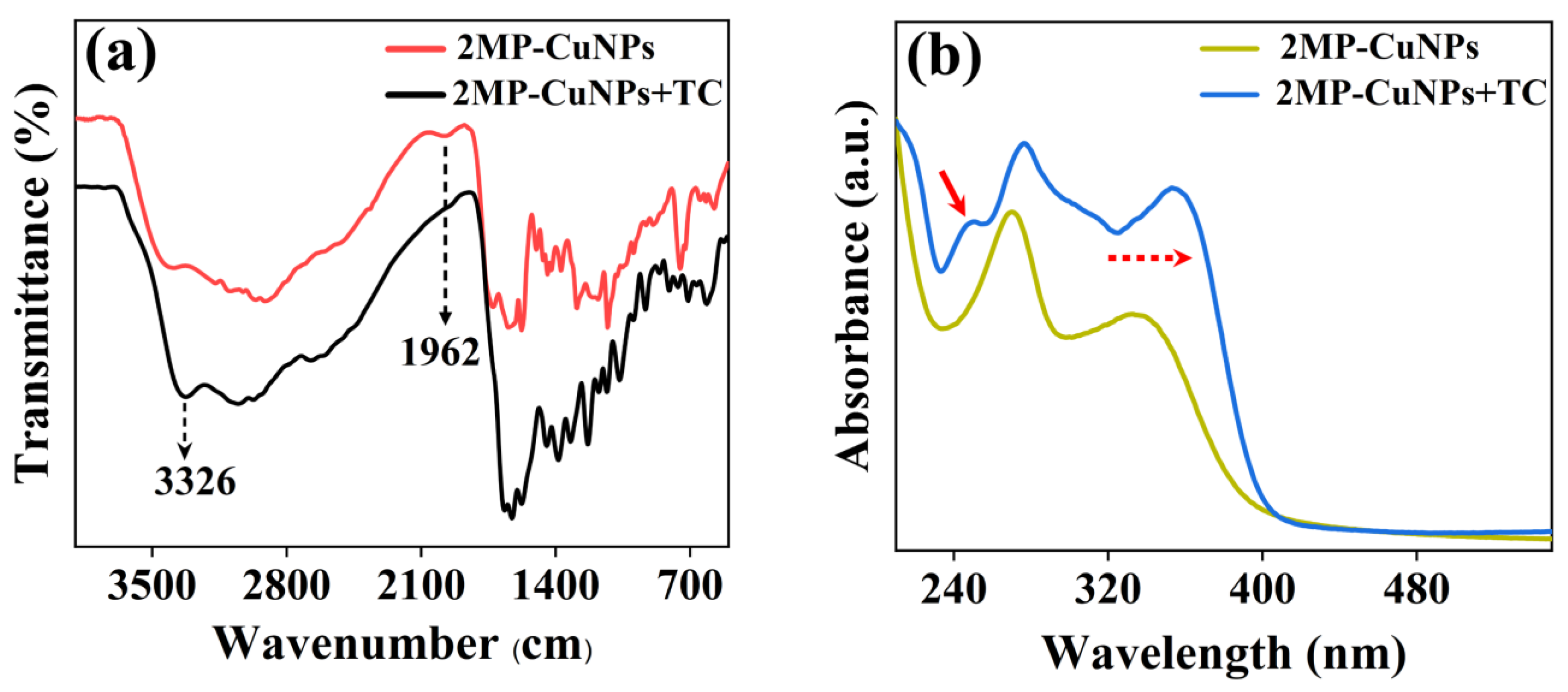 Synthesis of 2MP-CuNPs Fluorescent Probes and Their