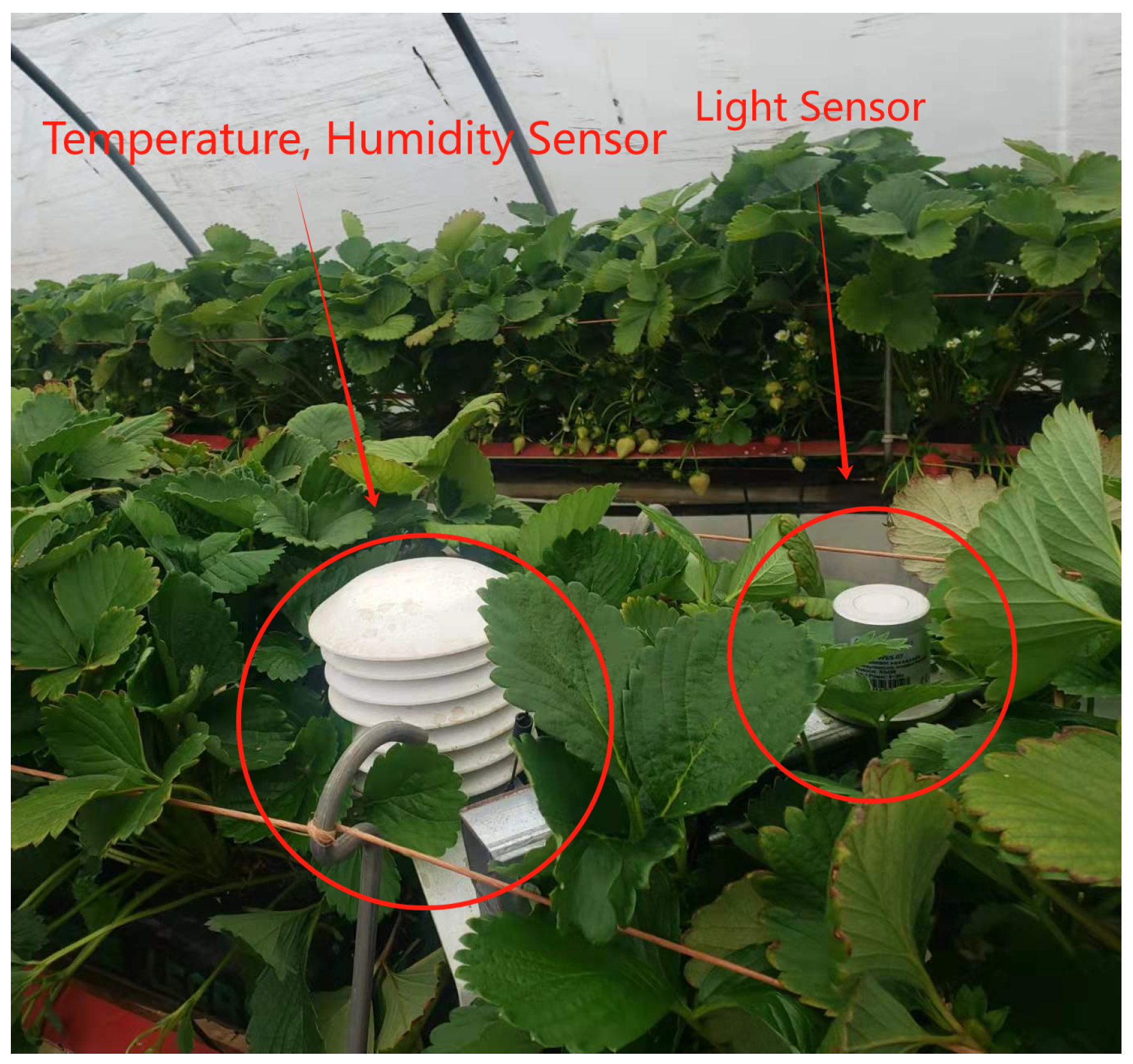 Sensors 24 07327 g002