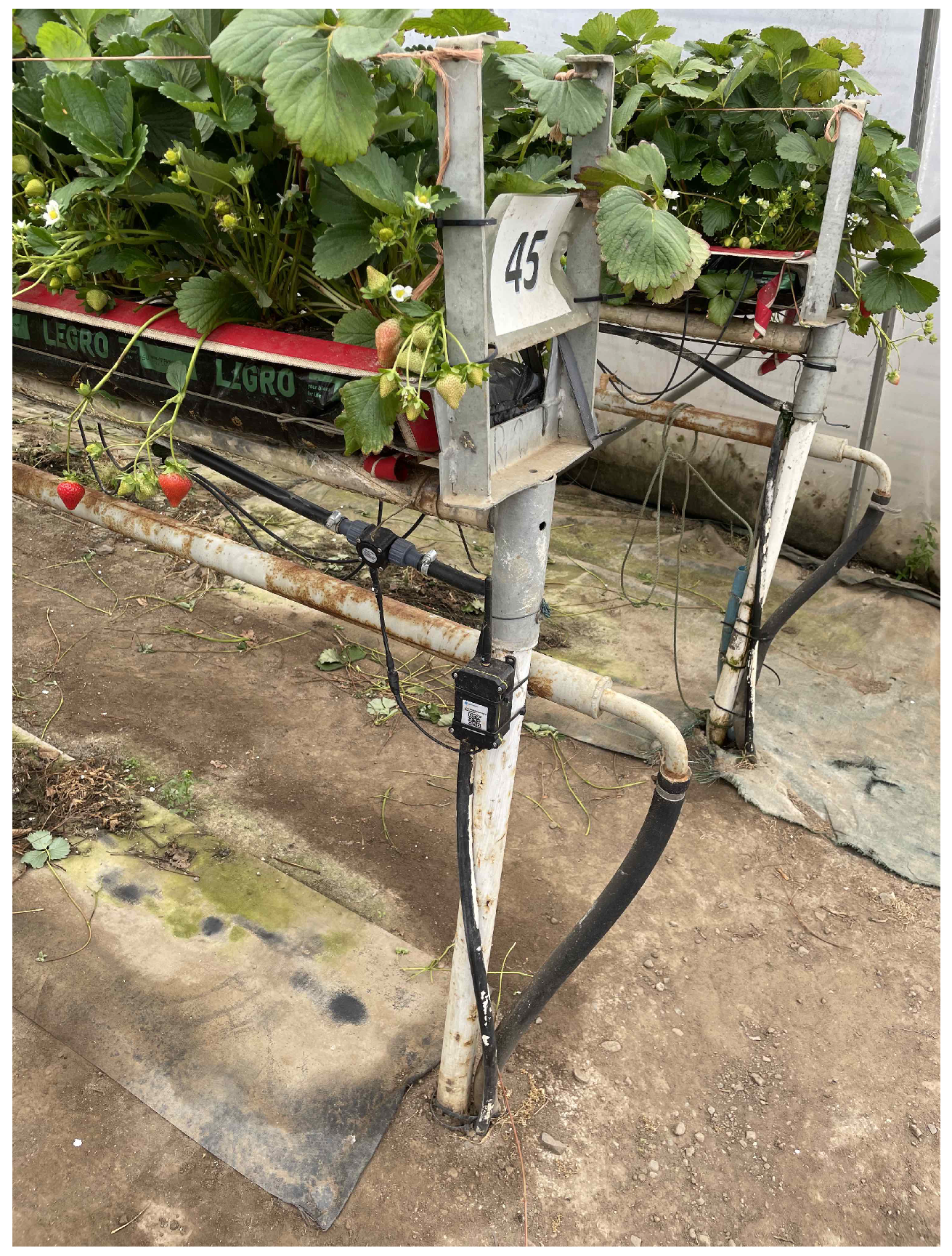 Sensors 24 07327 g003